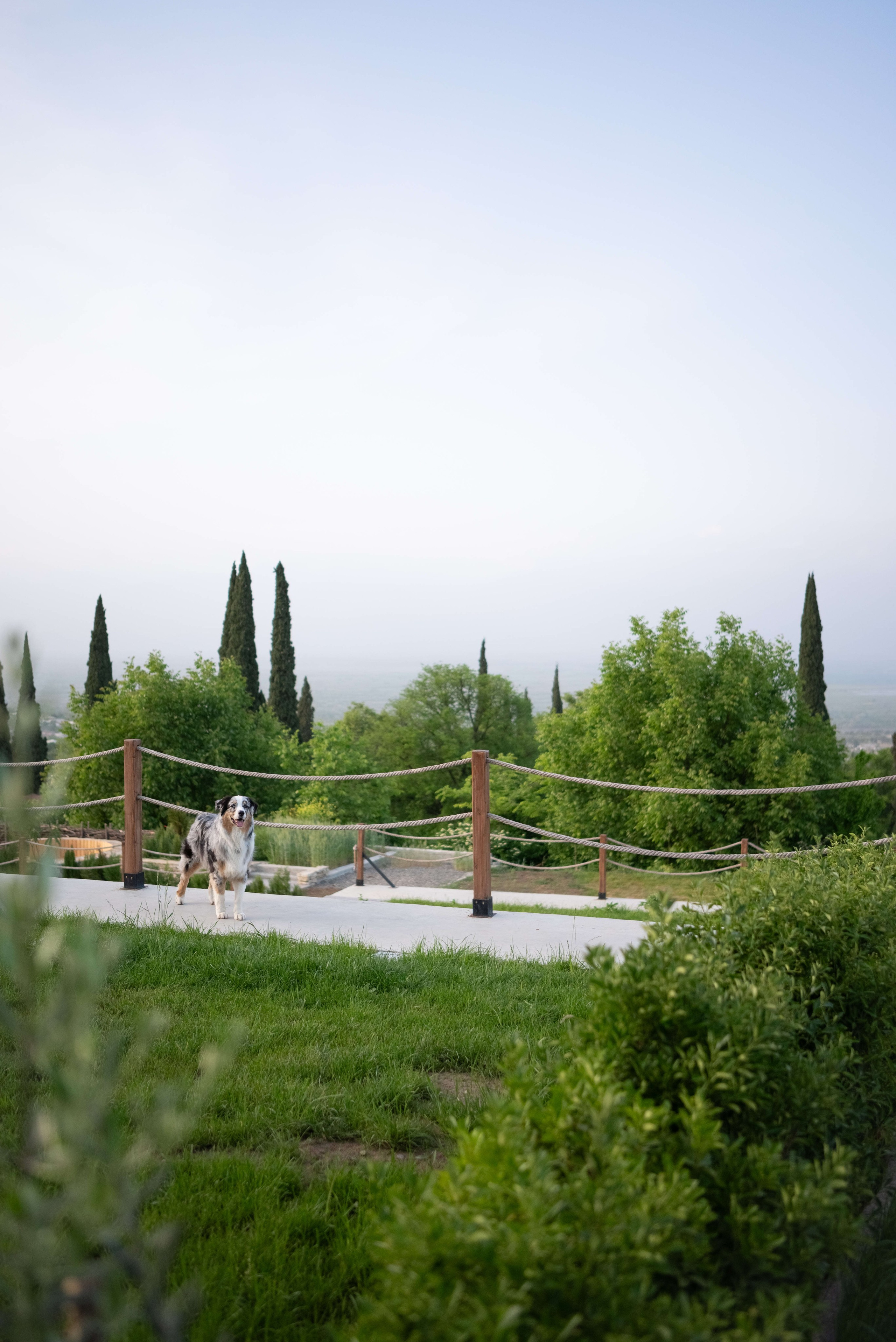 Съемка отеля Horizons. Портретный и свадебный фотограф в Тбилиси • xeniqo