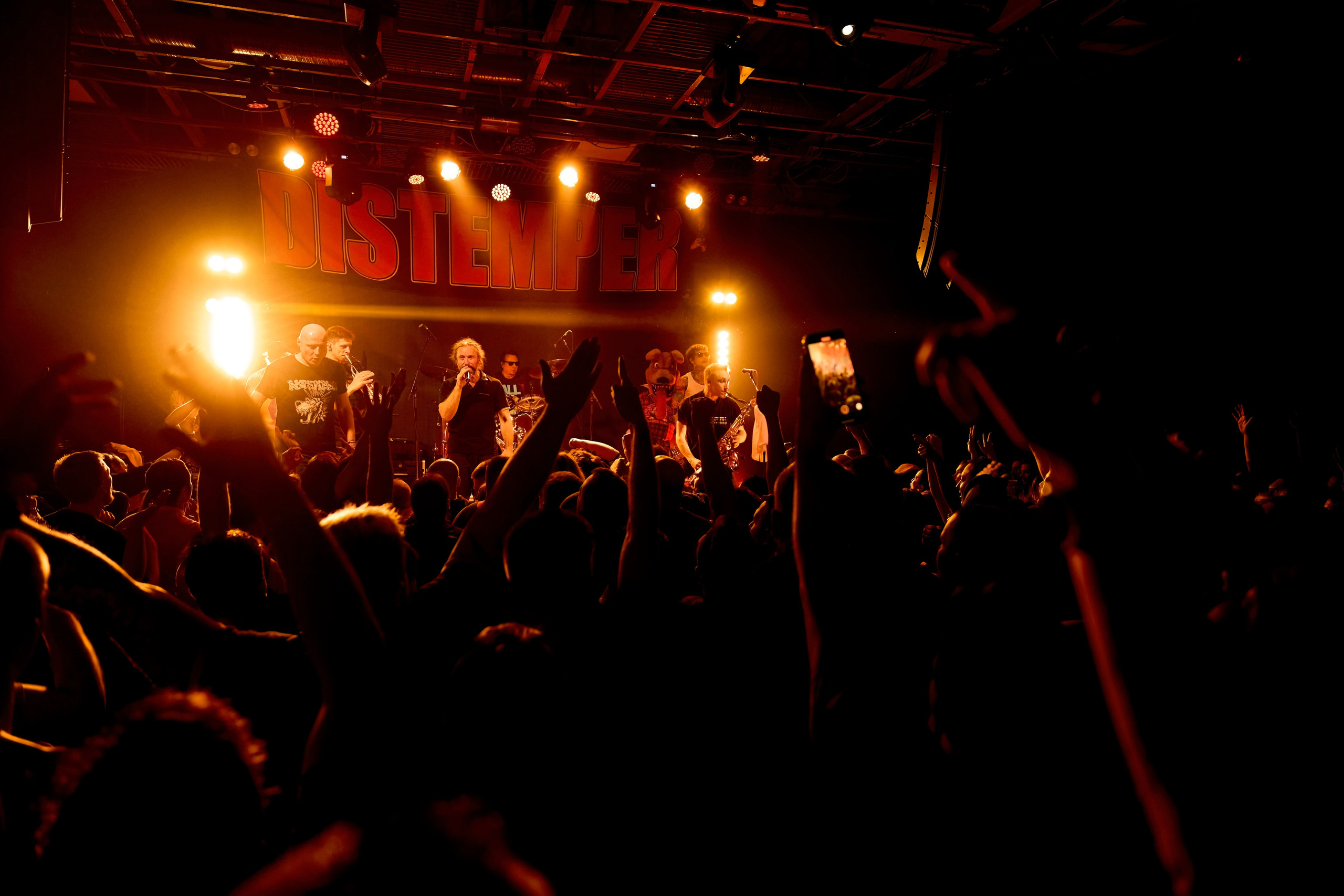 DISTEMPER / AGLOMERAT / 24.11.2023. Ekhovanov | фото- видеосъемка