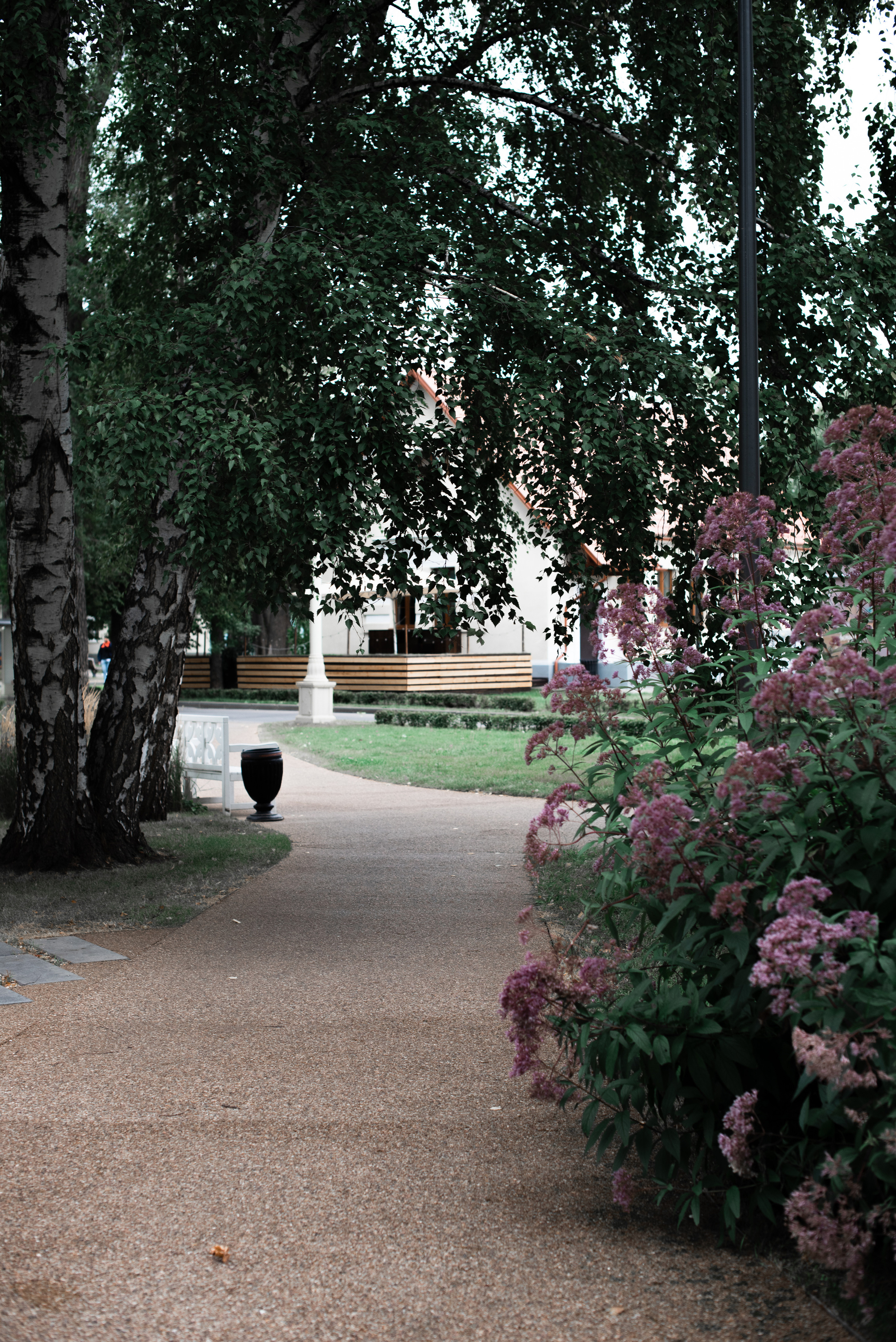 Свадебный фотограф в Волгограде. Свадебный, портретный фотограф в Волгограде Ермашова Дарья