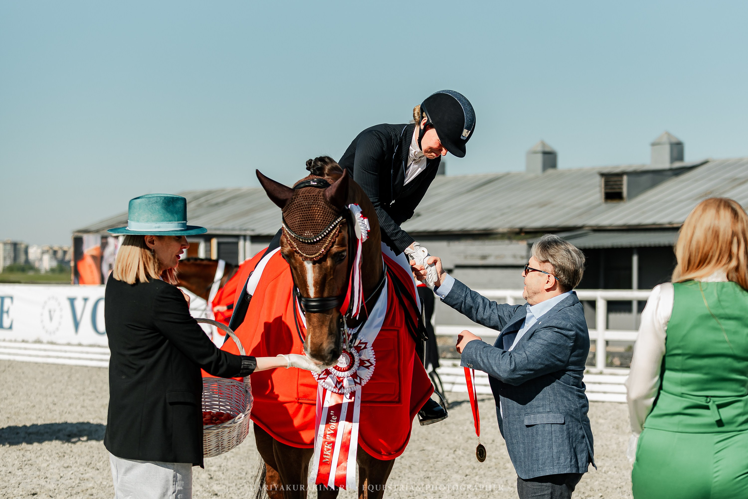 РЕПОРТАЖ МКК ВОЛЬТ «LA TULIPS». Конный фотограф Куракина Дарья • Фотосессии с лошадьми