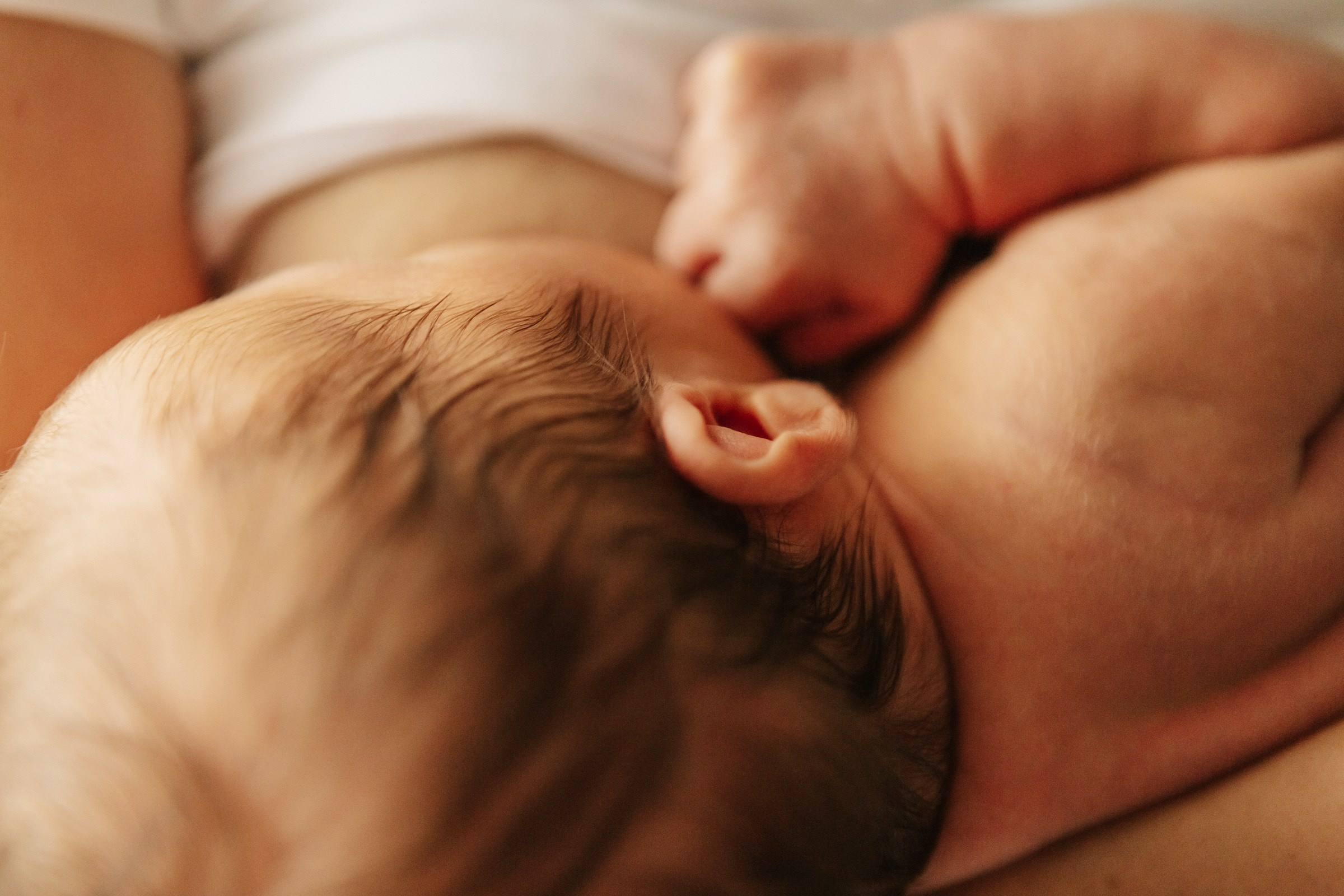 Аршиновы. Семейный и портретный фотограф в Санкт-Петербурге