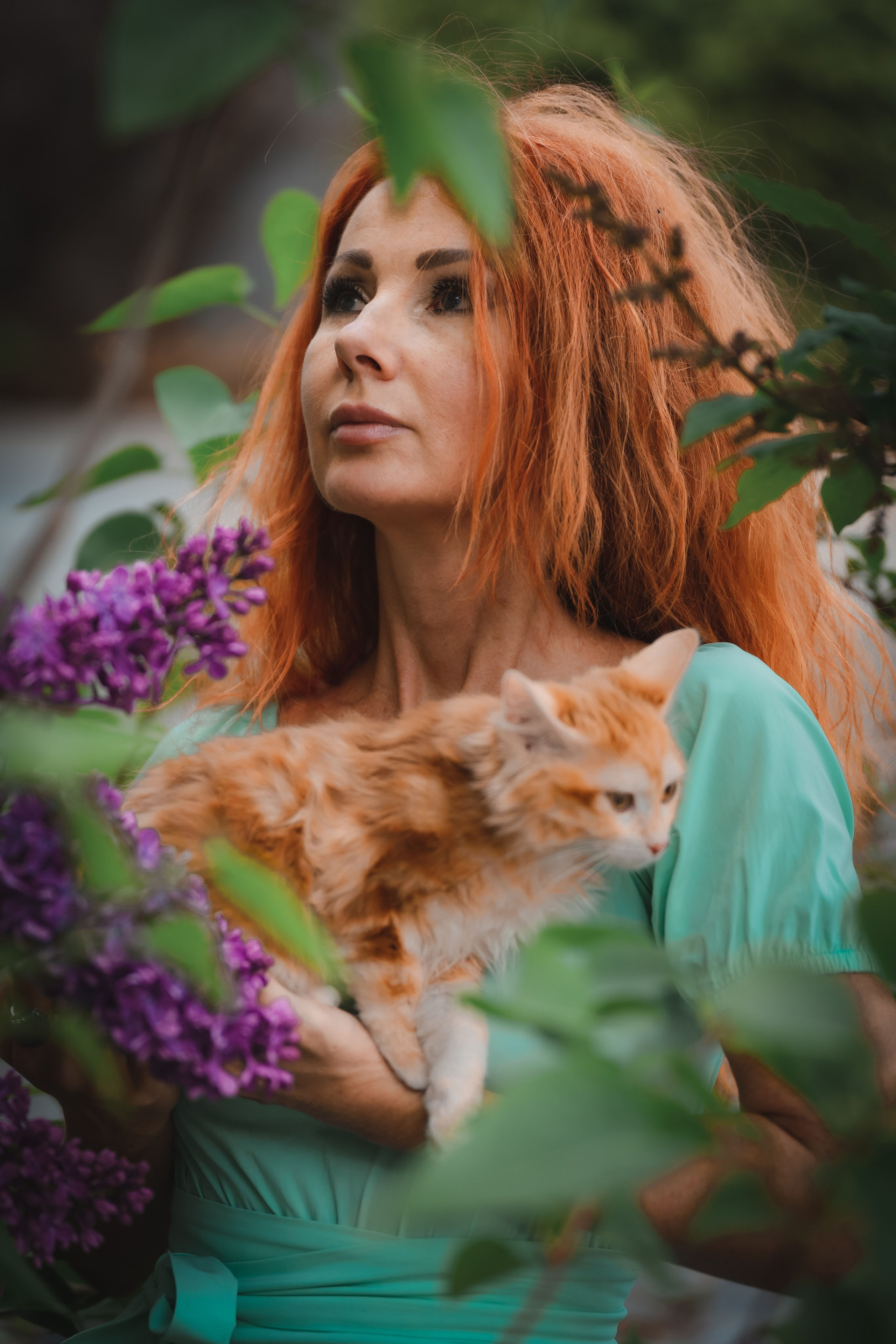 Питомник Курильских бобтейлов. Фотограф в Москве Ленарская Дарья