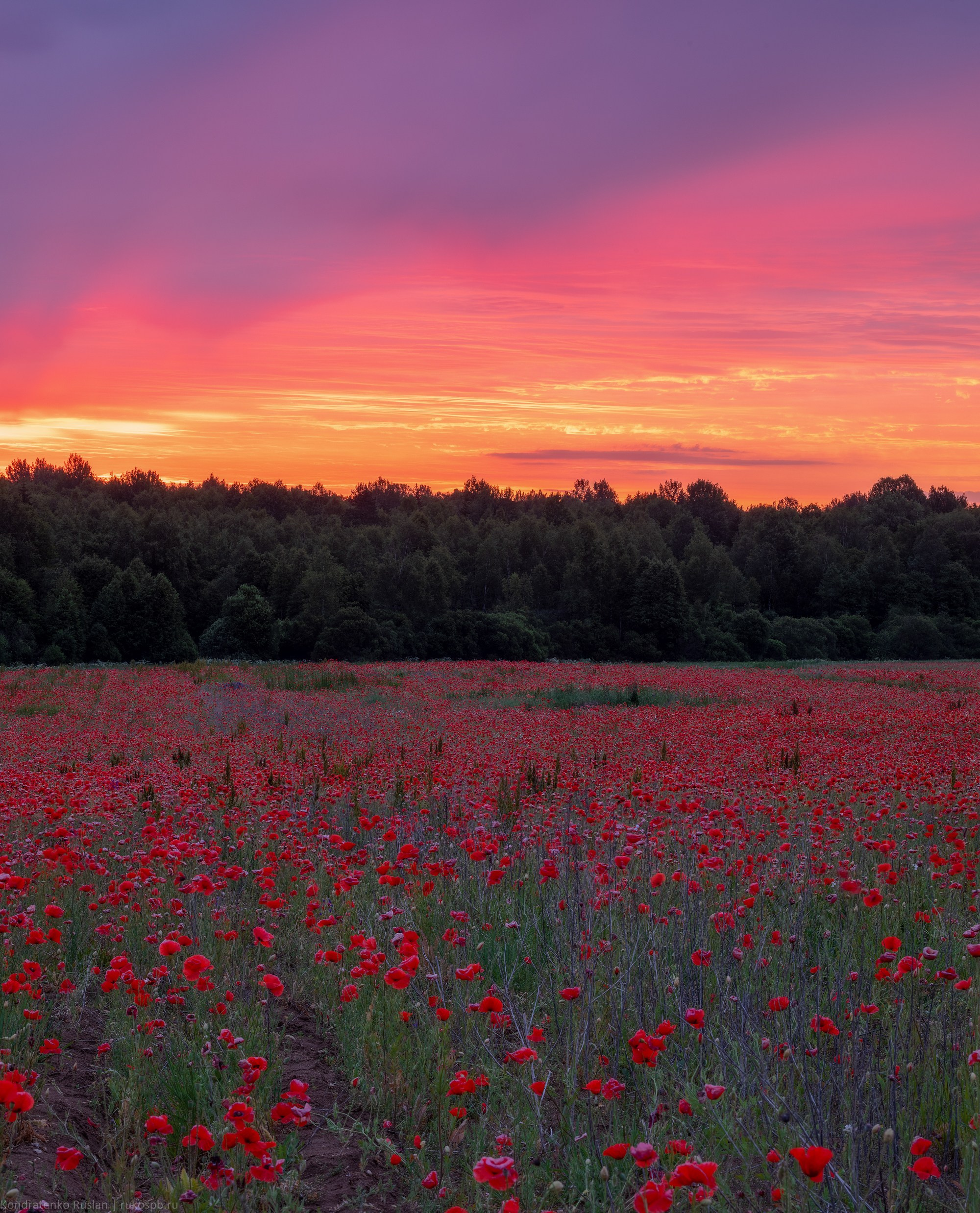 Псковская область. Архитектурный и пейзажный фотограф Кондратенко Руслан, Санкт-Петербург