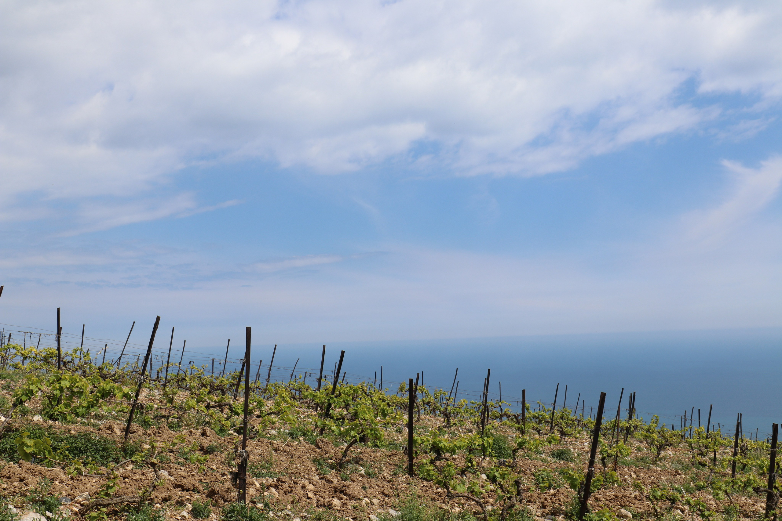 Крым. ЮБК (Бахчисарай, Демерджи, Судак). Первый скалолазный выезд. Май 2019. Путешественник-фотограф из Санкт-Петербурга Татьяна Свистулина