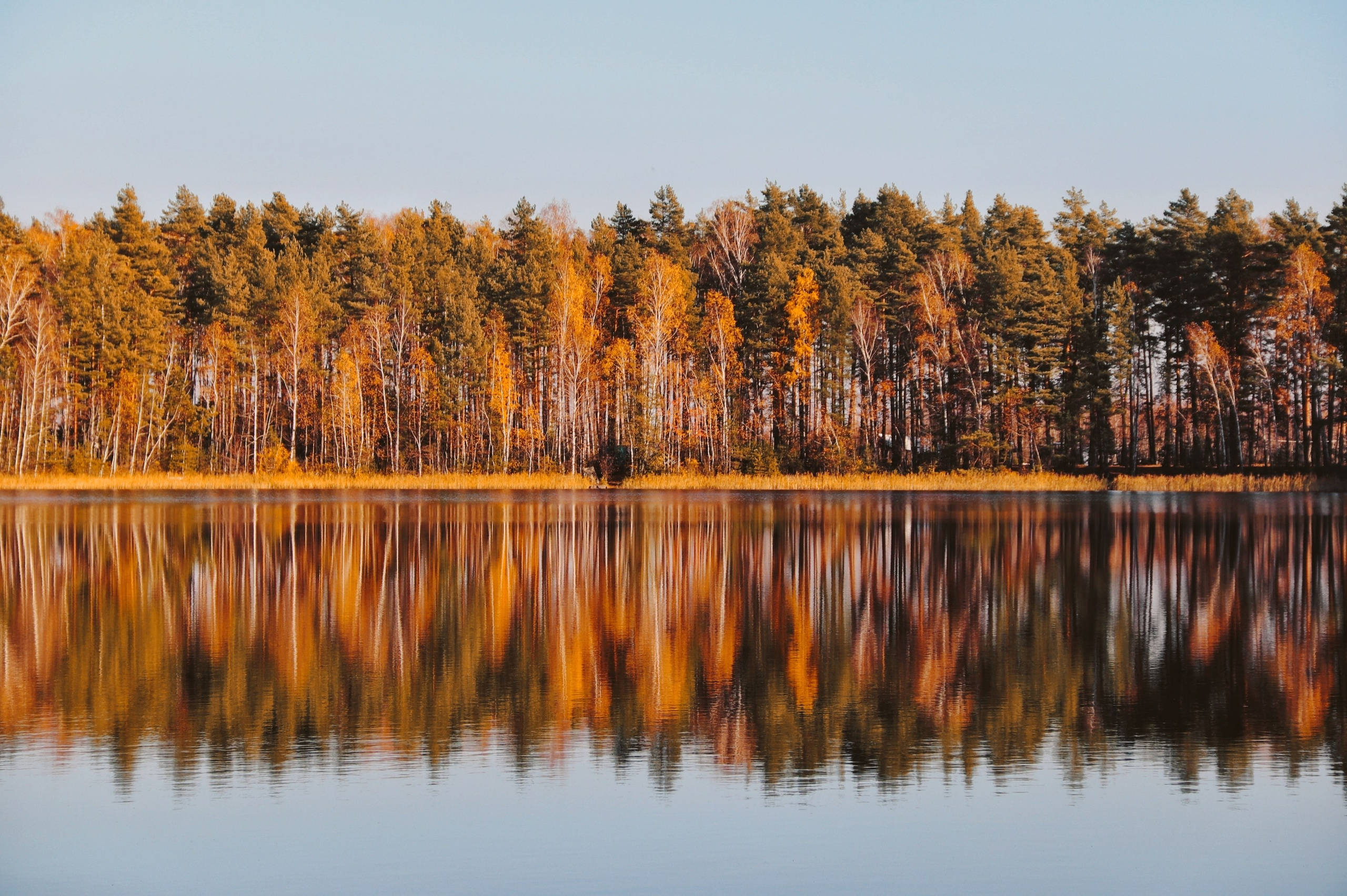 По тропе Паустовского. С любовью, фотохудожник