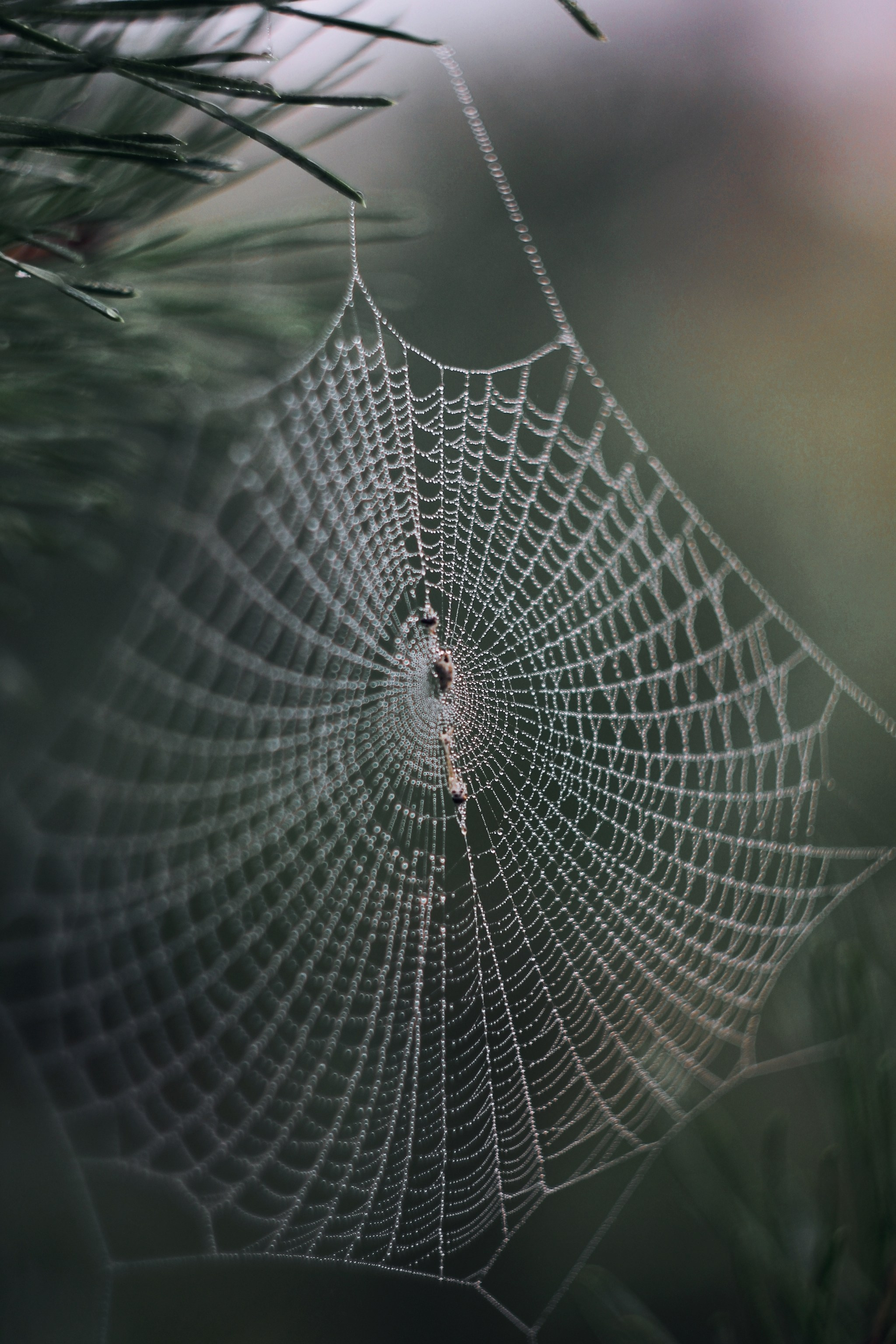Меланхолия августа. С любовью, фотохудожник
