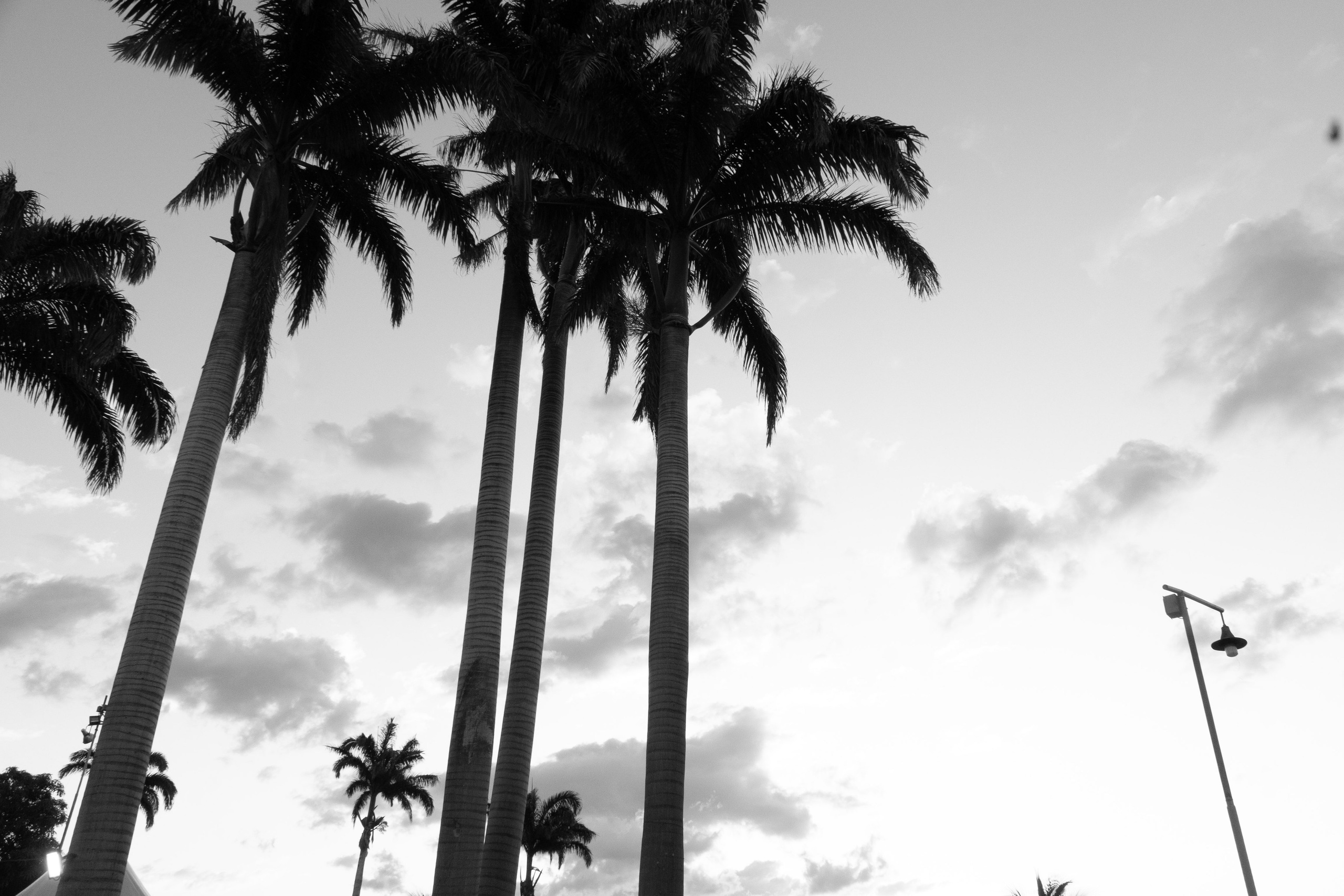 Carola & Gerson. Wedding Photographer in Barcelona and Medellin