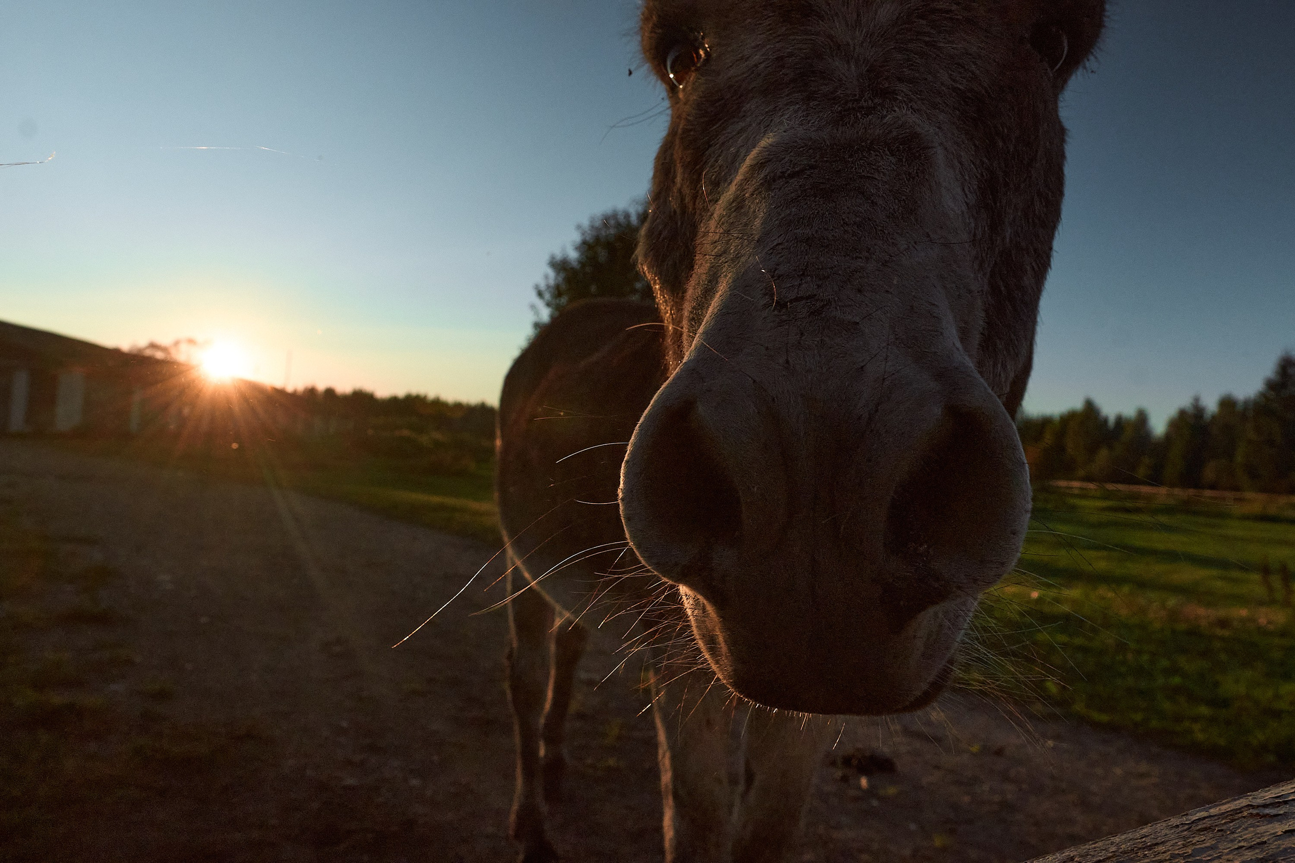 Пейзажи. Фотограф и оператор мероприятий, концертов и портретов в городе Москва