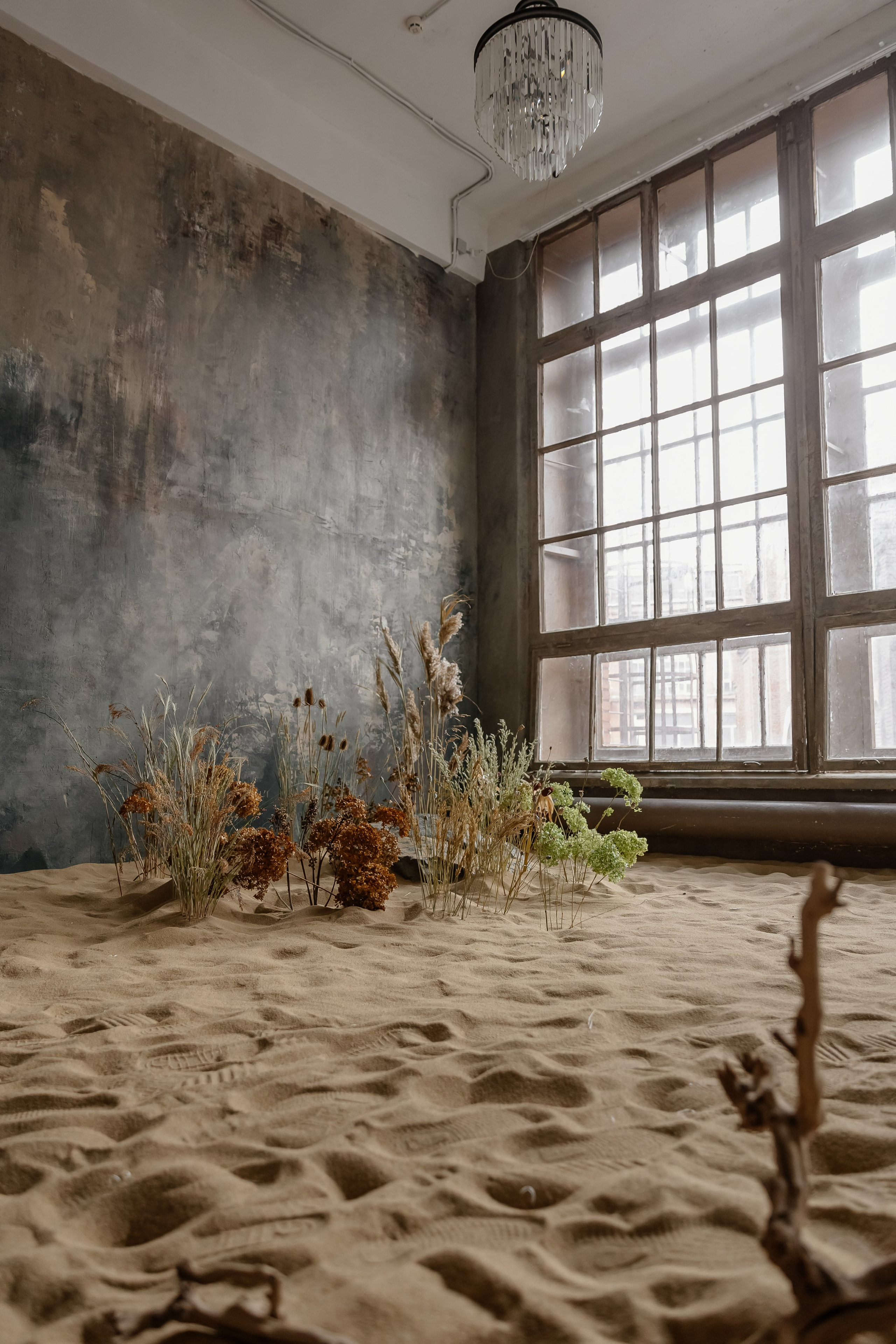Floral sand. Профессиональный фотограф Инесса Новикова в Москве