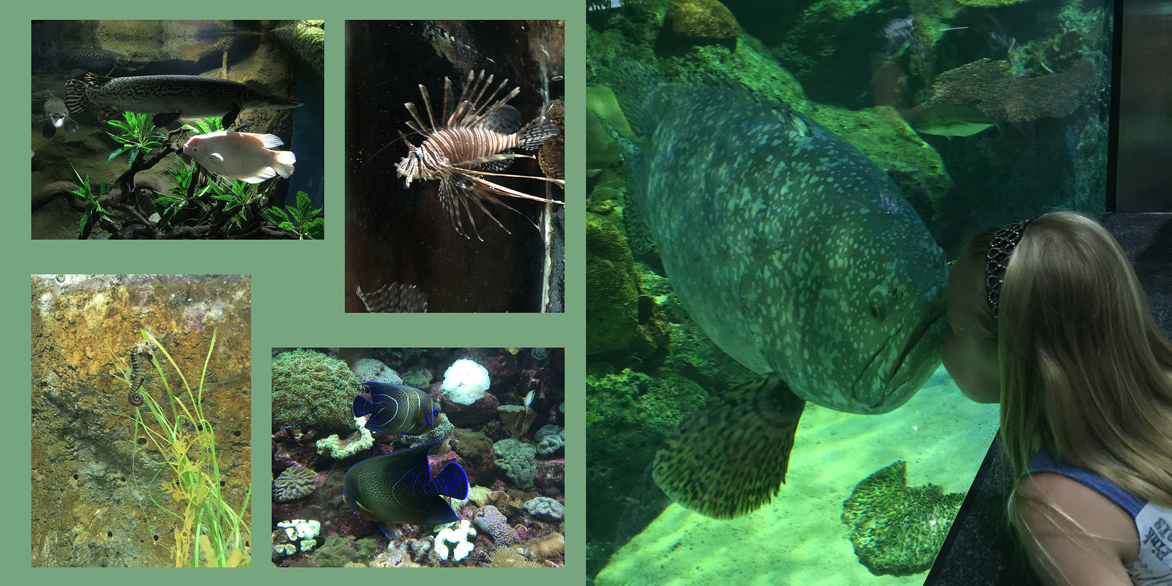 Лучшие воспоминания о путешествии в фотокниге. Детский, семейный и портретный фотограф в Москве Марина Смрига