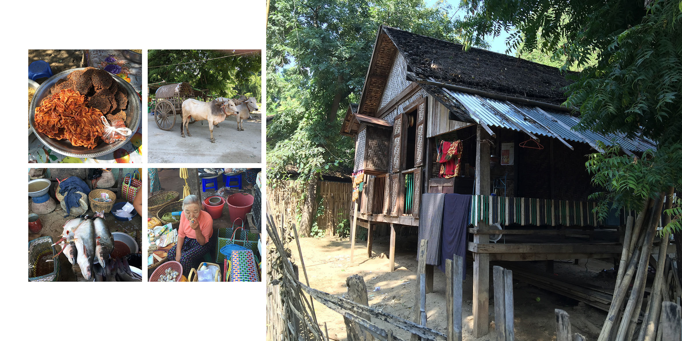 Фотокнига путешествие по Бирме. Детский, семейный и портретный фотограф в Москве Марина Смрига