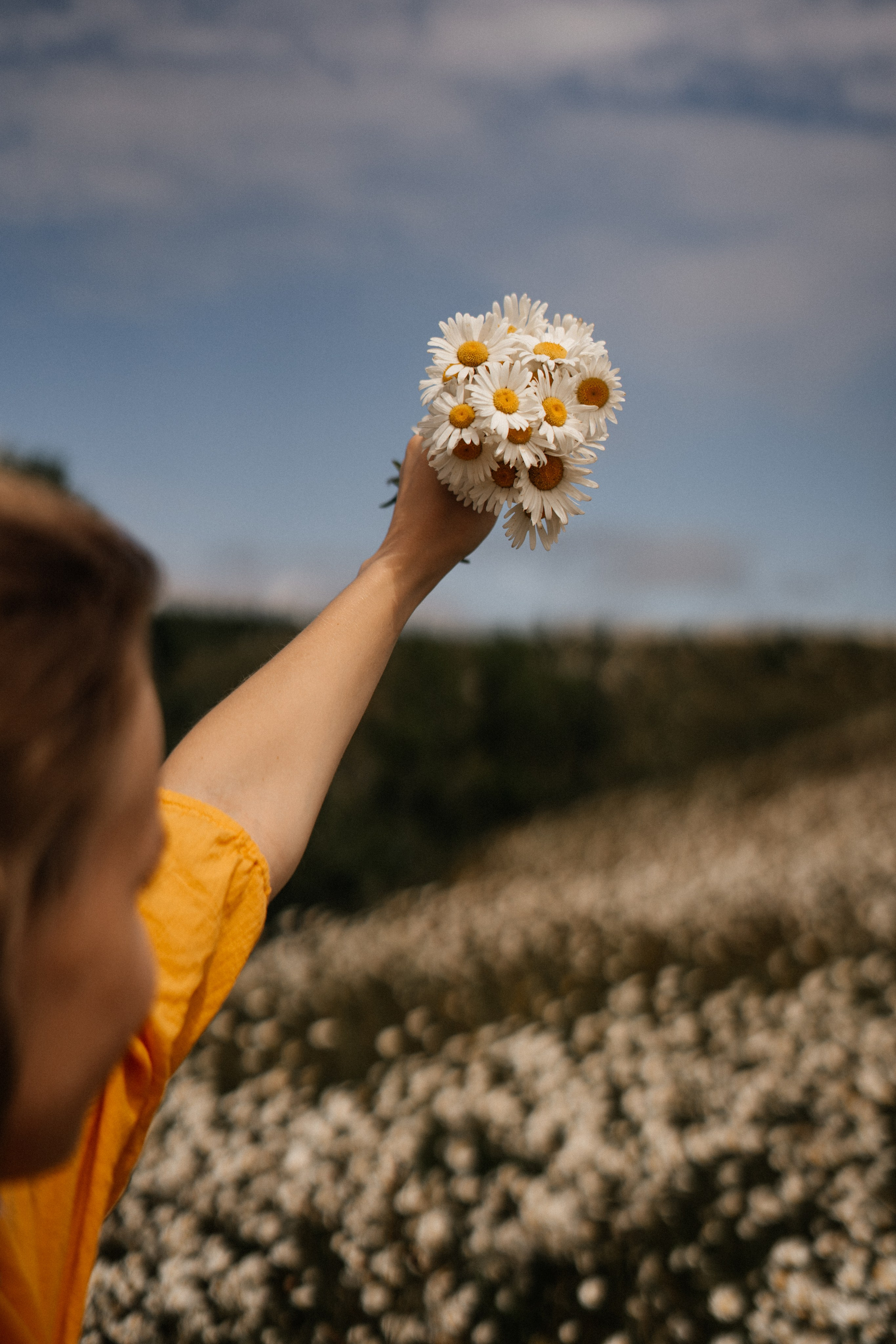 Самый красивый цветок. Фотограф сахалин