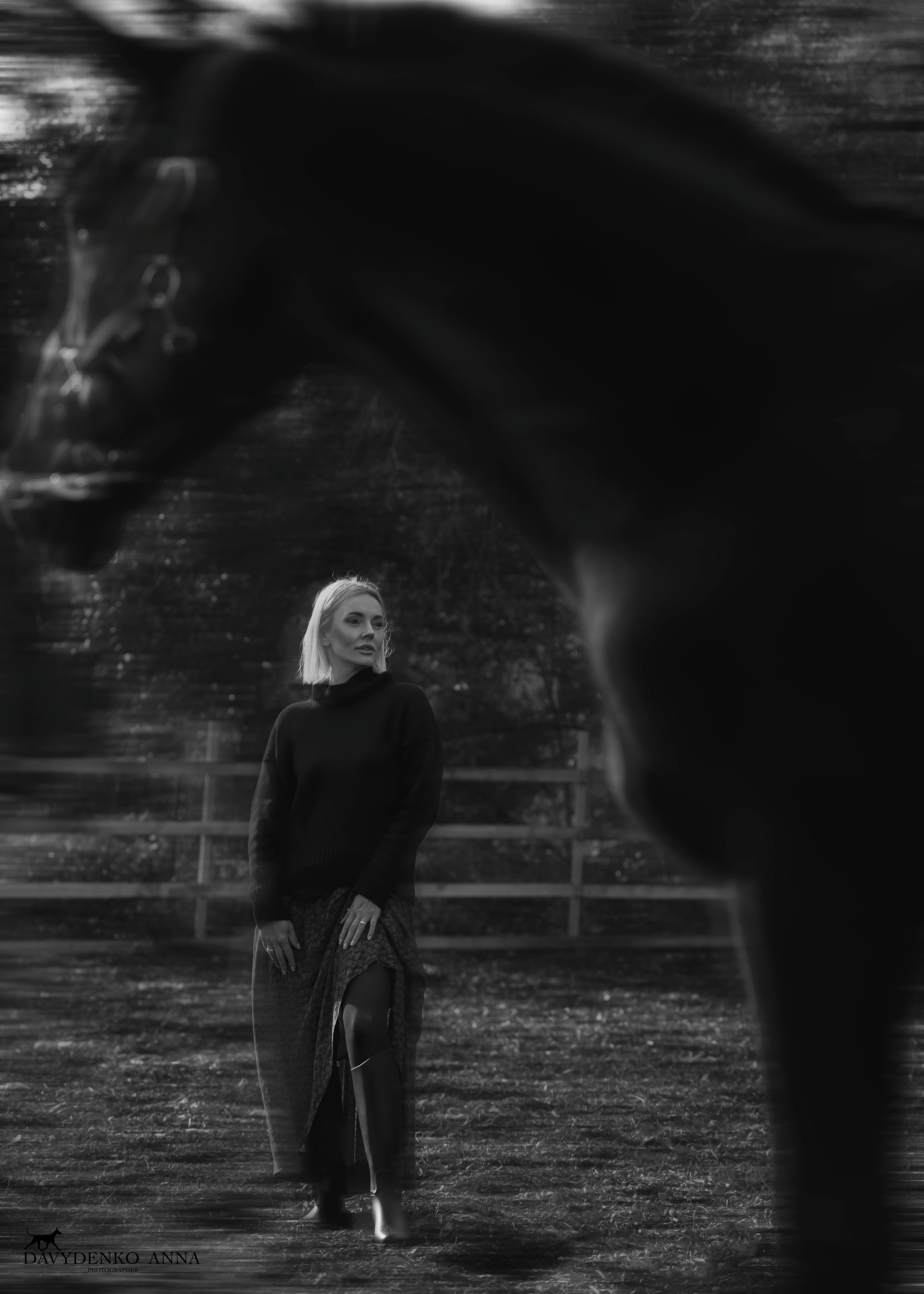 фотосессия с лошадью в сочи