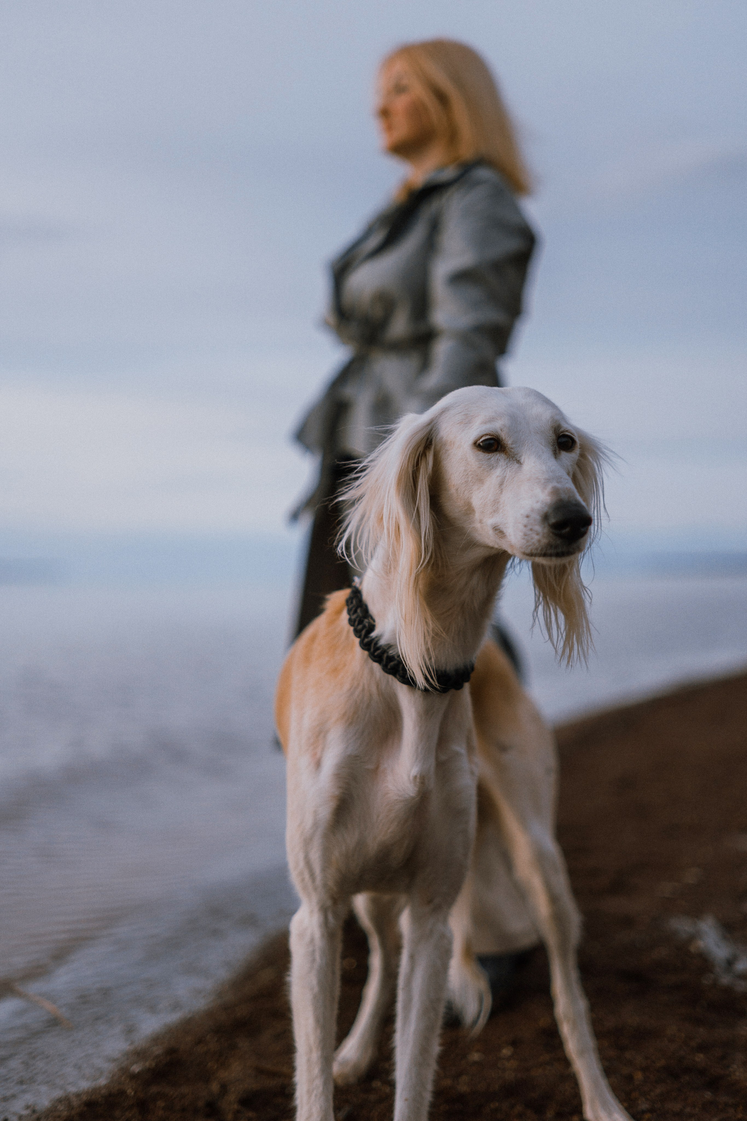 Настя и Бейда. Фотограф-анималист Богданова Полина
