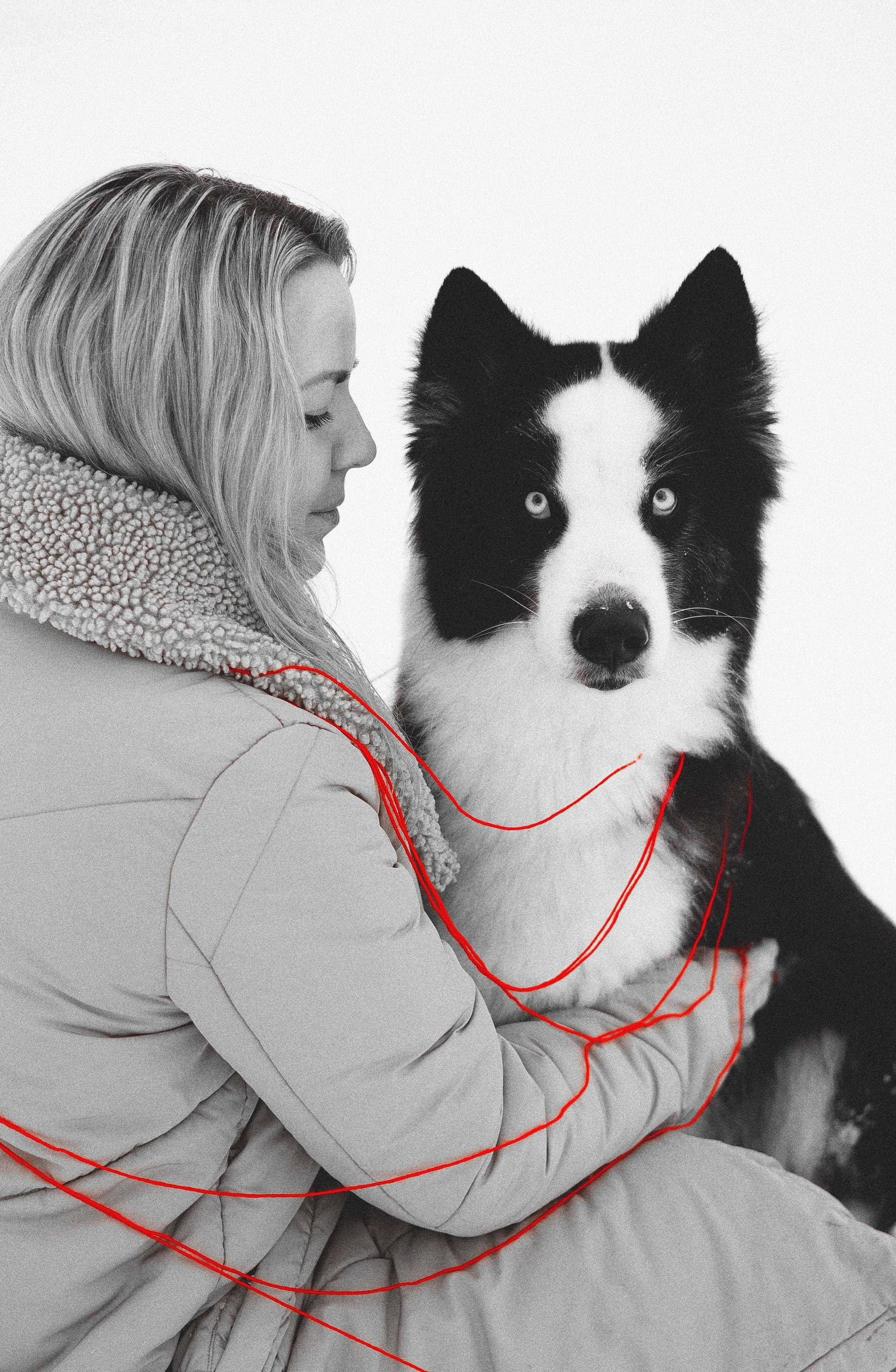 Анна и Тео. Фотограф-анималист Богданова Полина