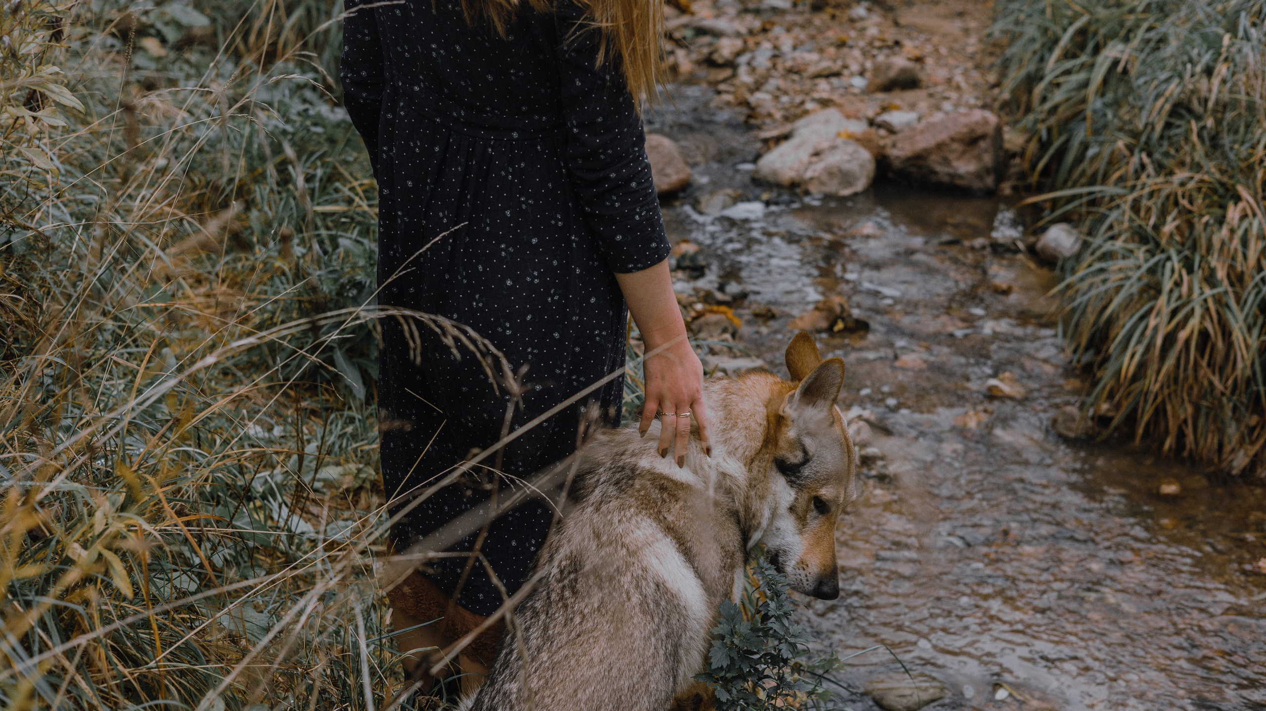 Полина и Вегард. Фотограф-анималист Богданова Полина