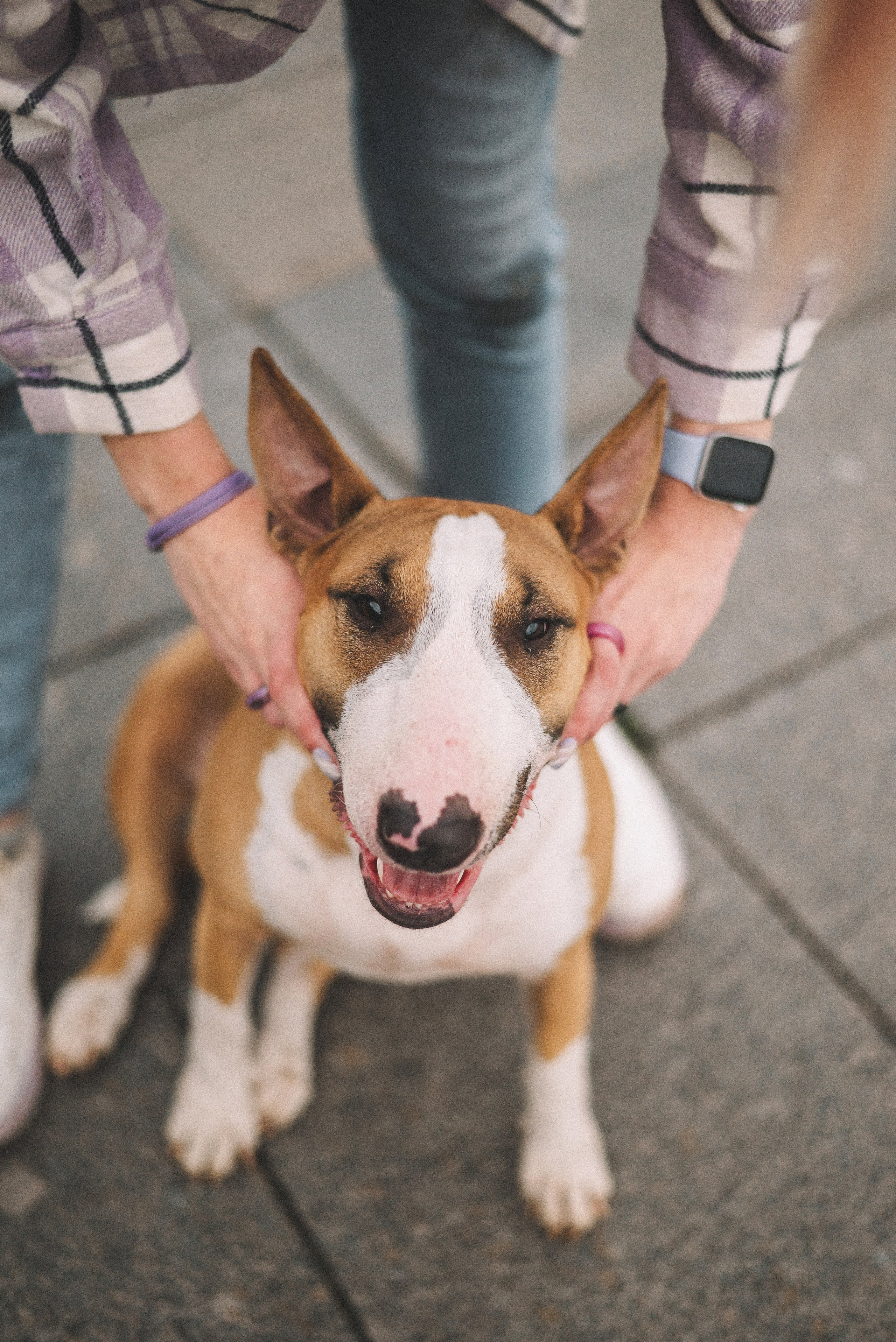 Маша и Рулька. Фотограф-анималист Богданова Полина