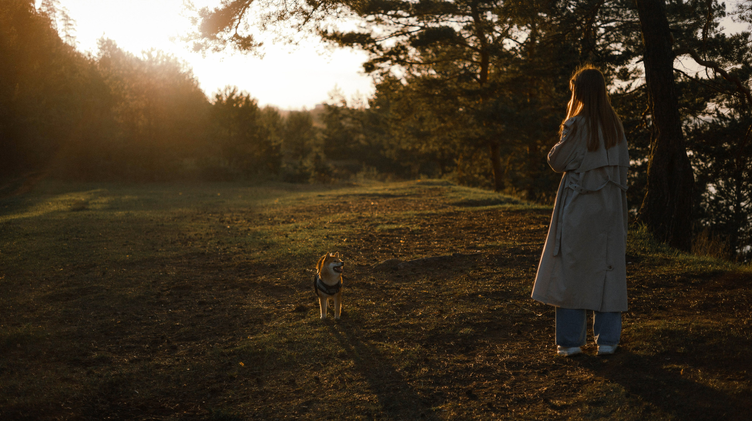 Аня и Шани. Фотограф-анималист Богданова Полина