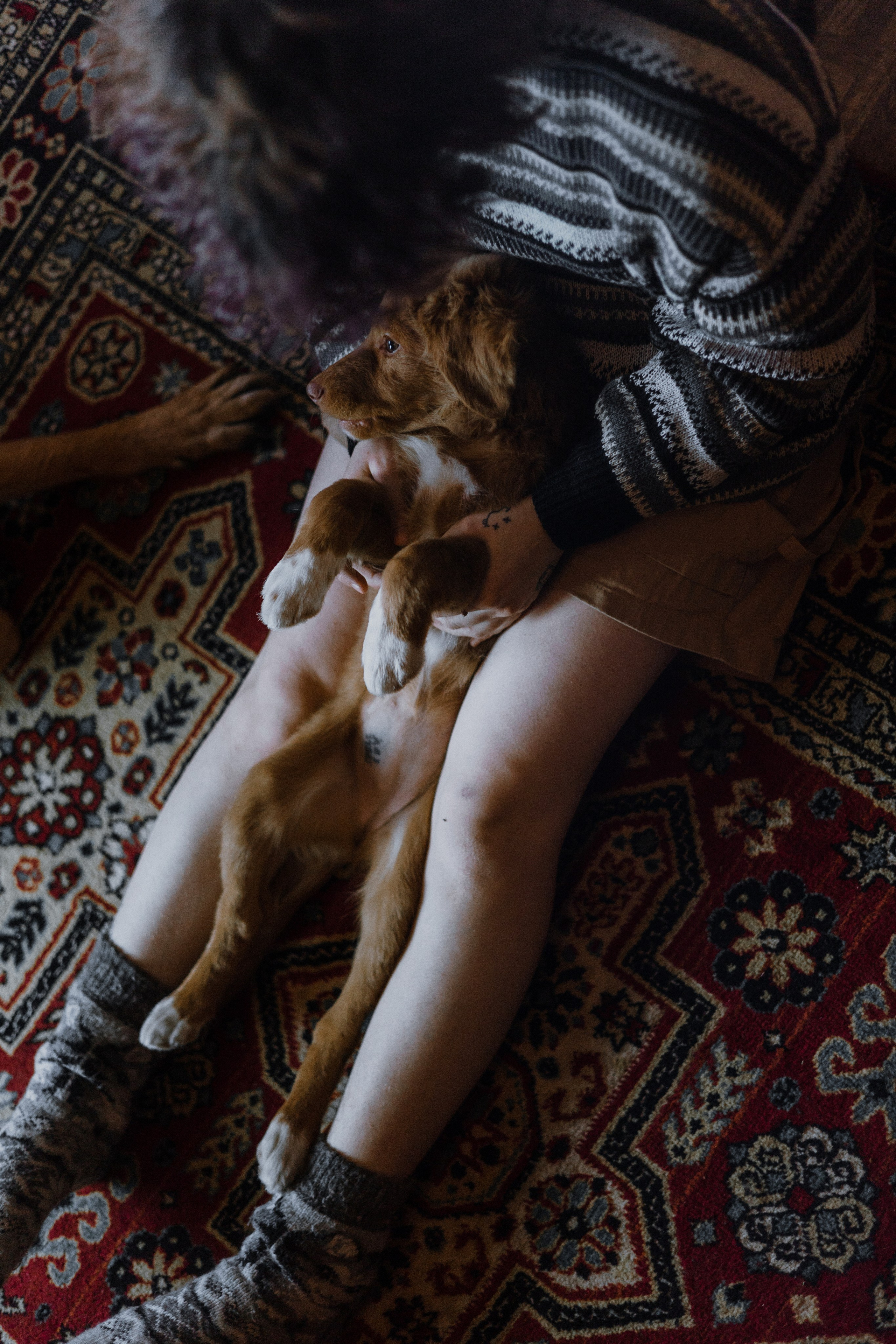 Лера, Реджи и Ральф. Фотограф-анималист Богданова Полина