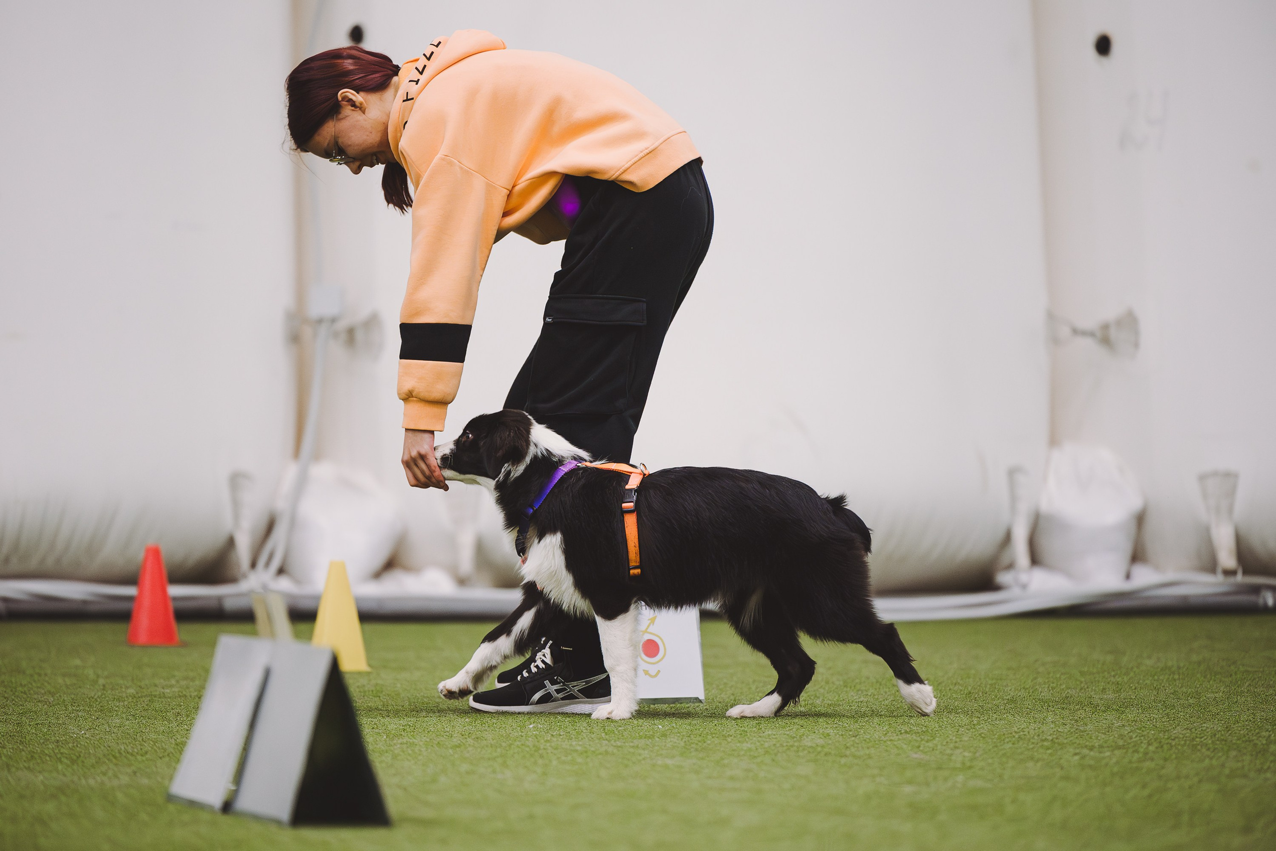 Кубрау. BLGKV питомник собак