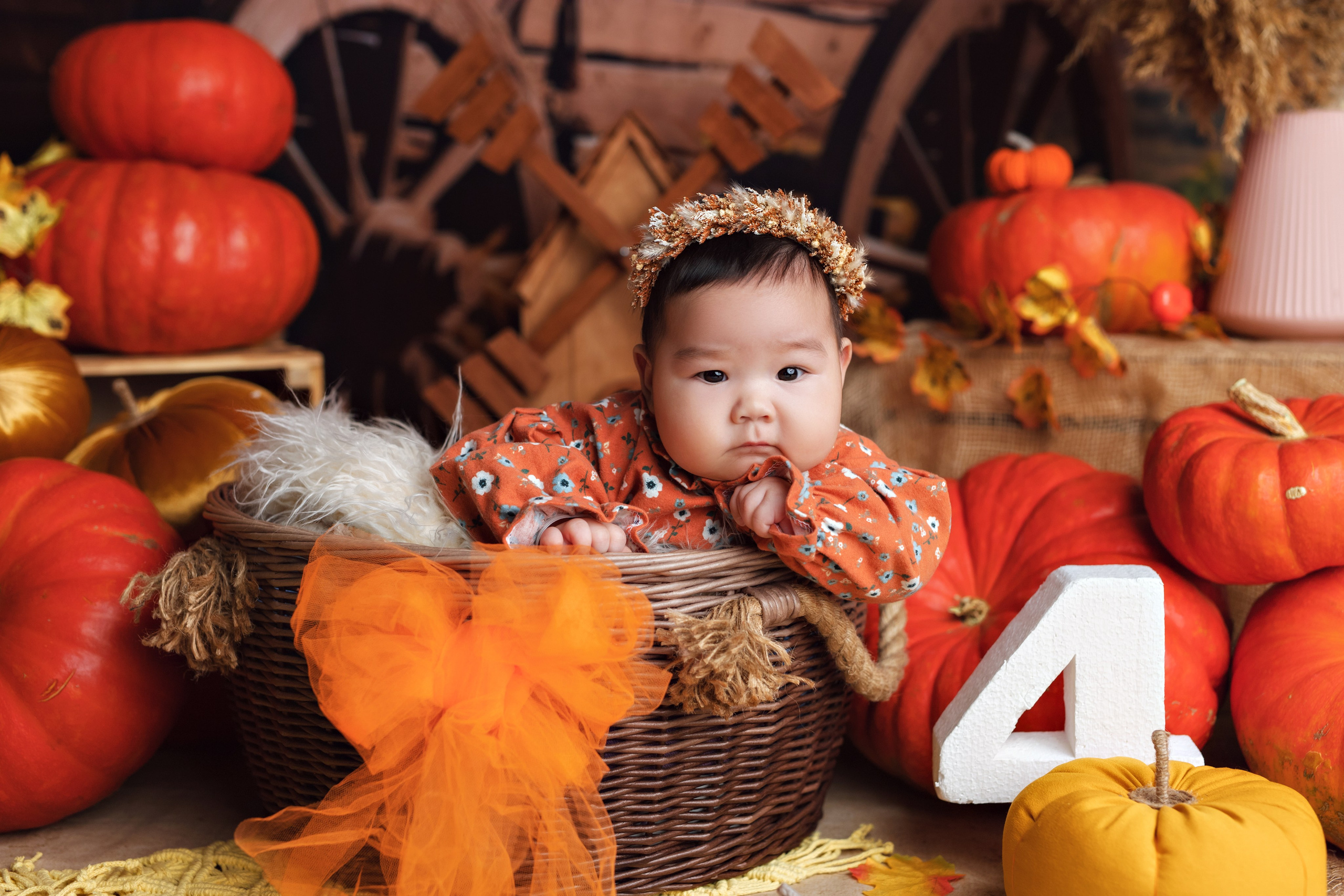 Тыквы. Фотограф Болотова Иветта