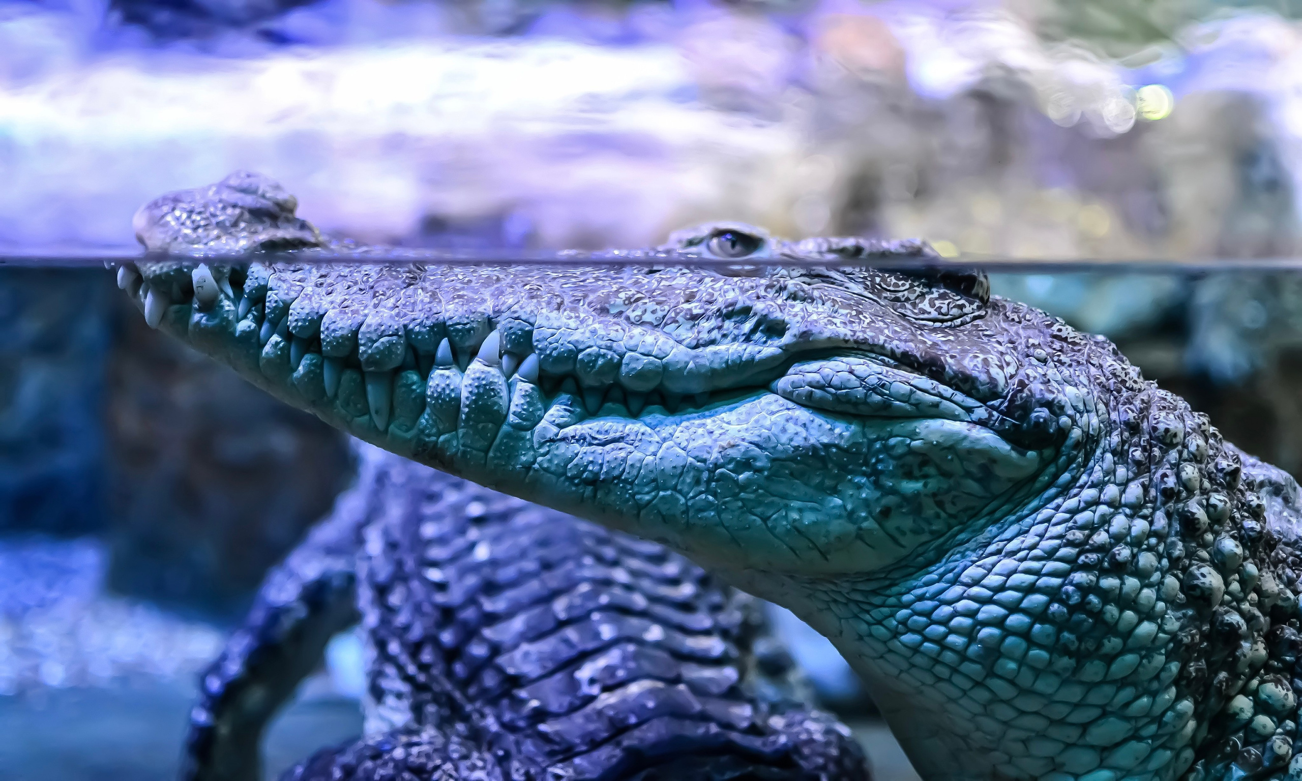 Пейзаж и городские съёмки. Семейный, уличный и пейзажный фотограф в Москве Никифоров Виктор