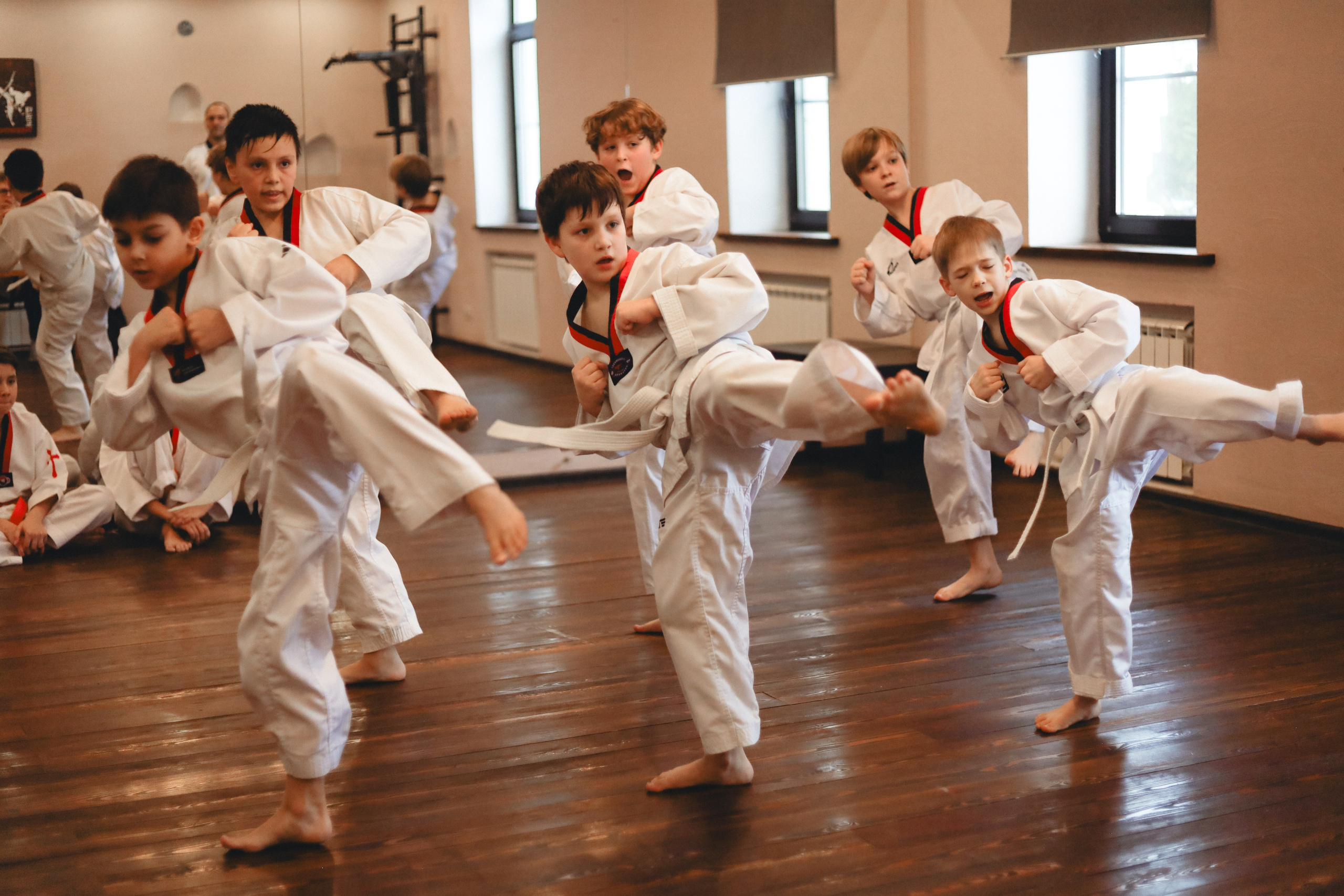 Тхэквондо Аттестация. Фотограф в Москве Бастракова Юлия