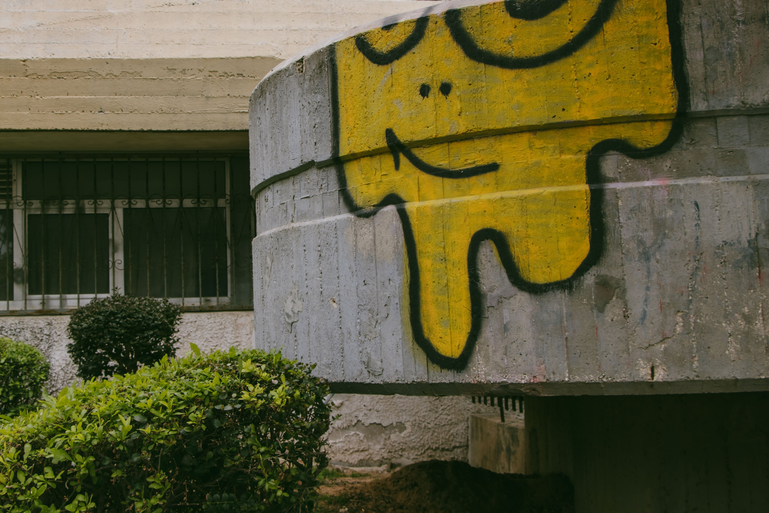 бетонные дом с желтым графите 