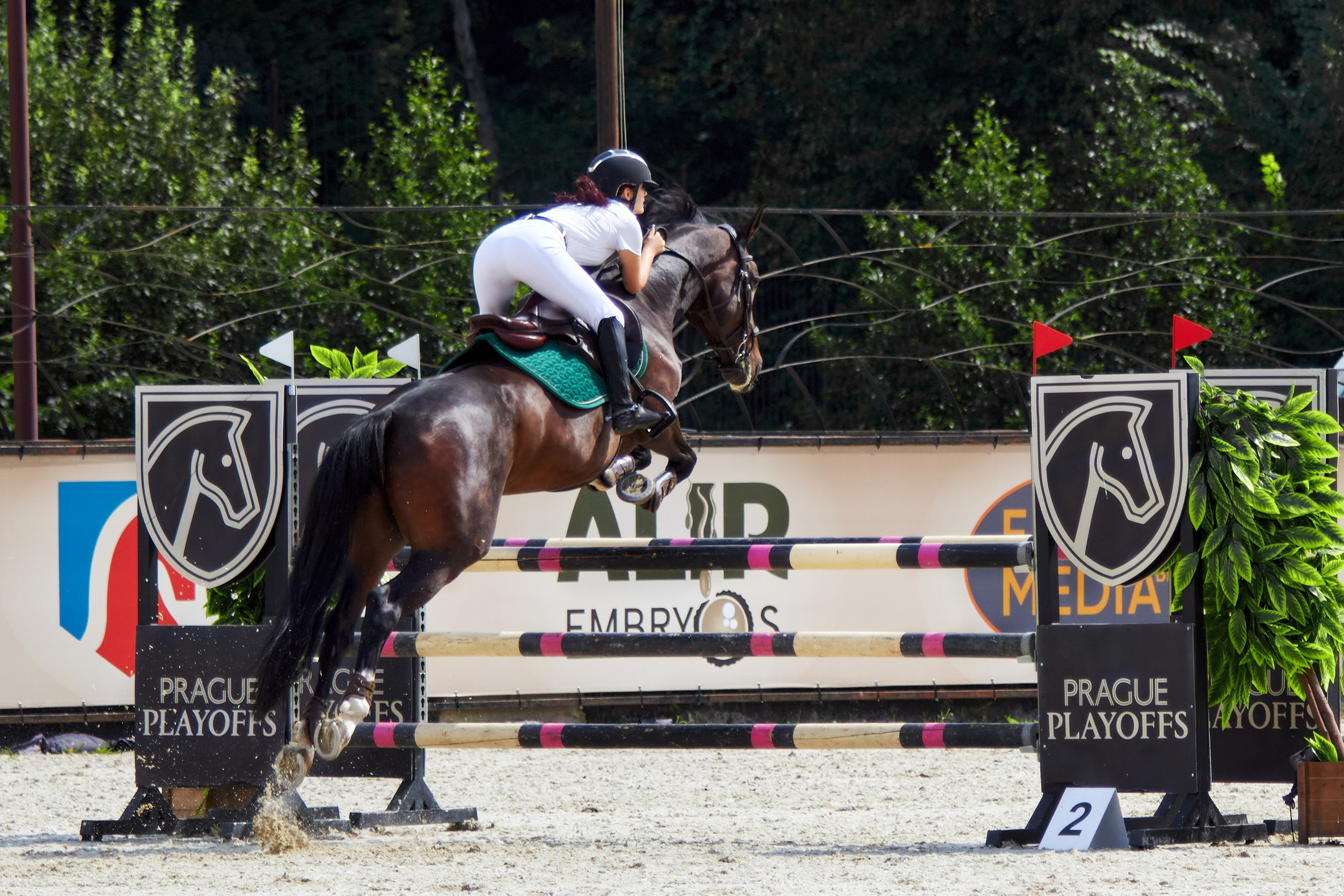 Конкур в «Виват, Россия». Фотограф анималист — Тула, Москва