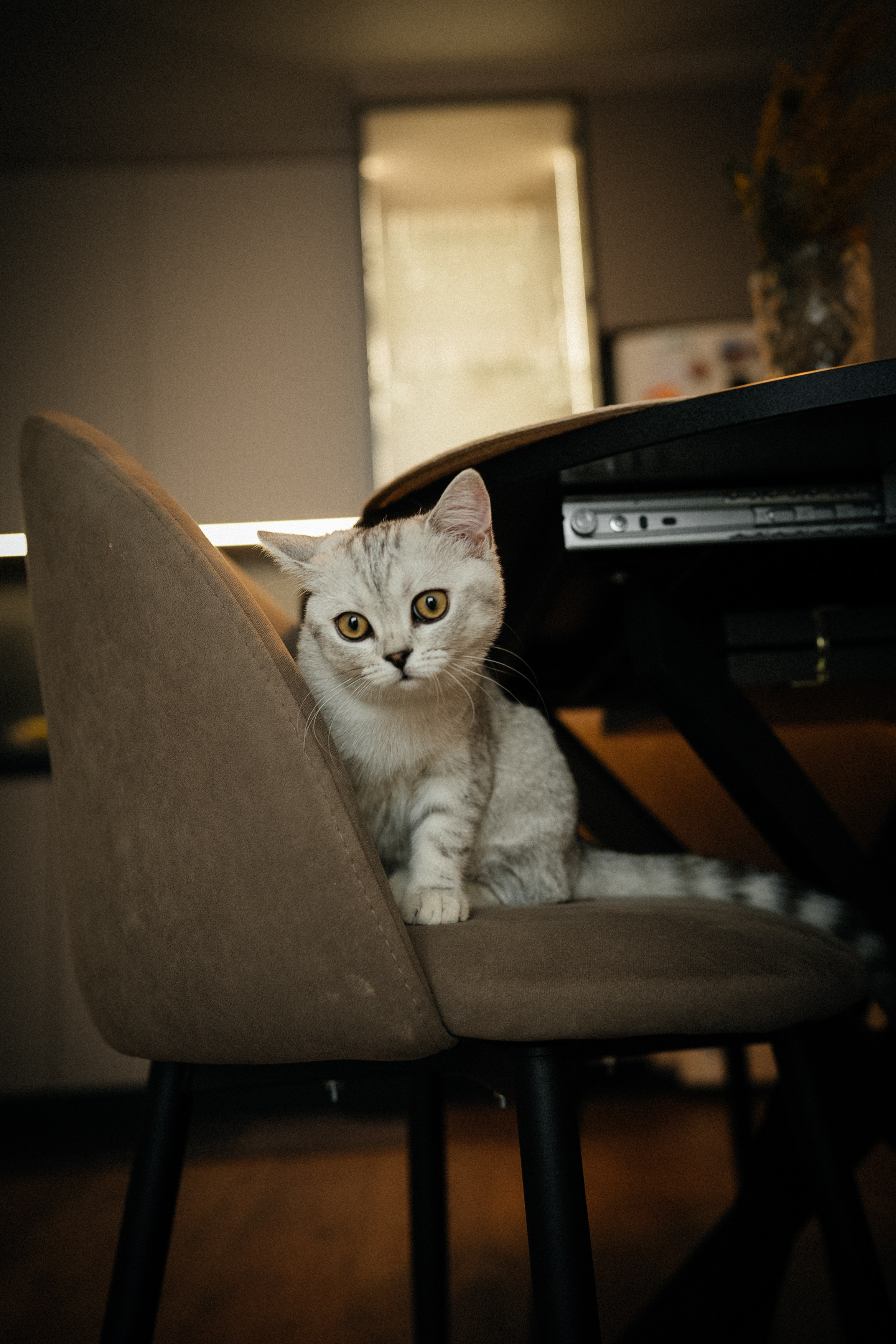 Семья Ксении и Максима. Фотограф | Юлия Арт| Обучение