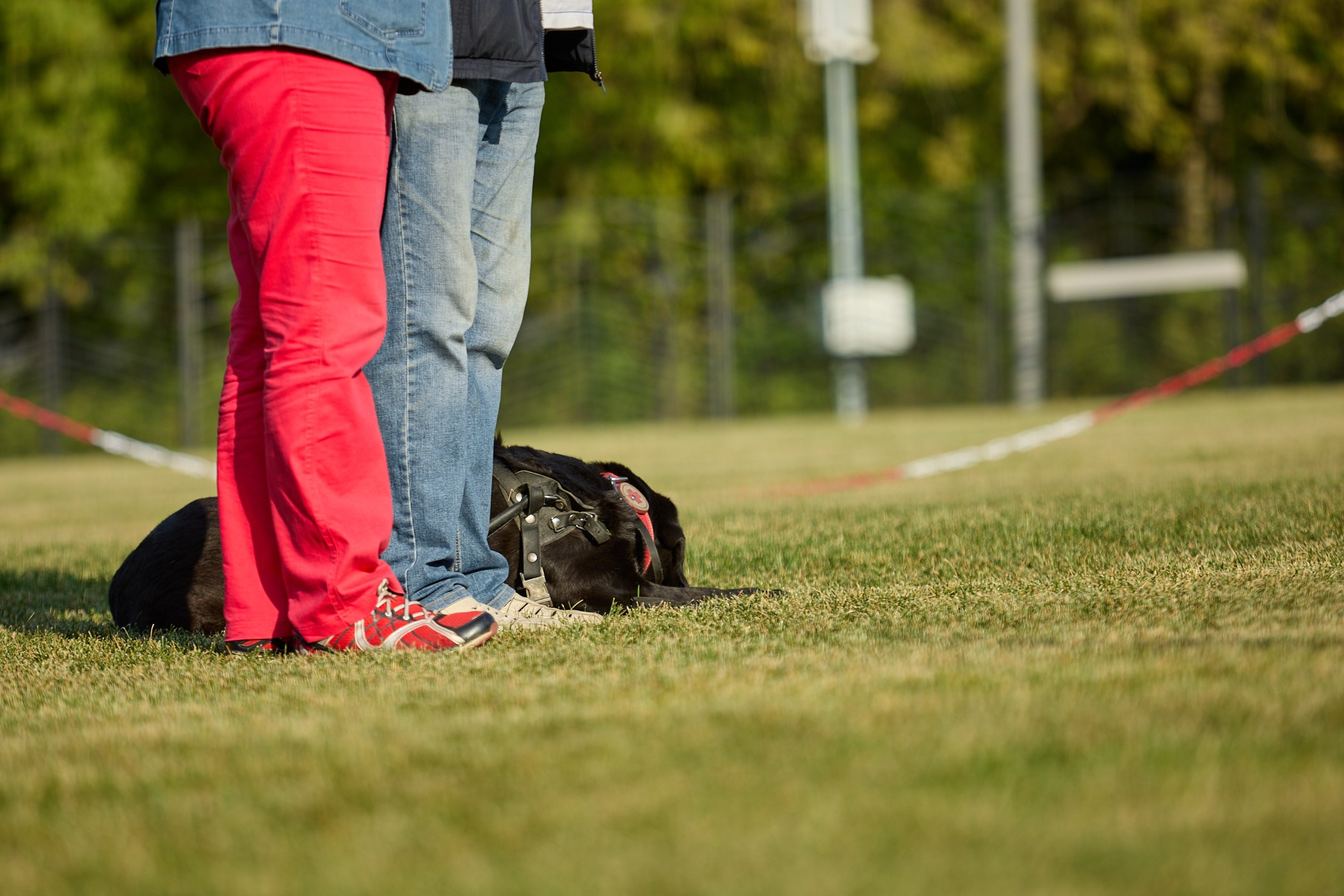 Инклюзивный фестиваль «Три шага к победе». Фотограф Ирина Астор