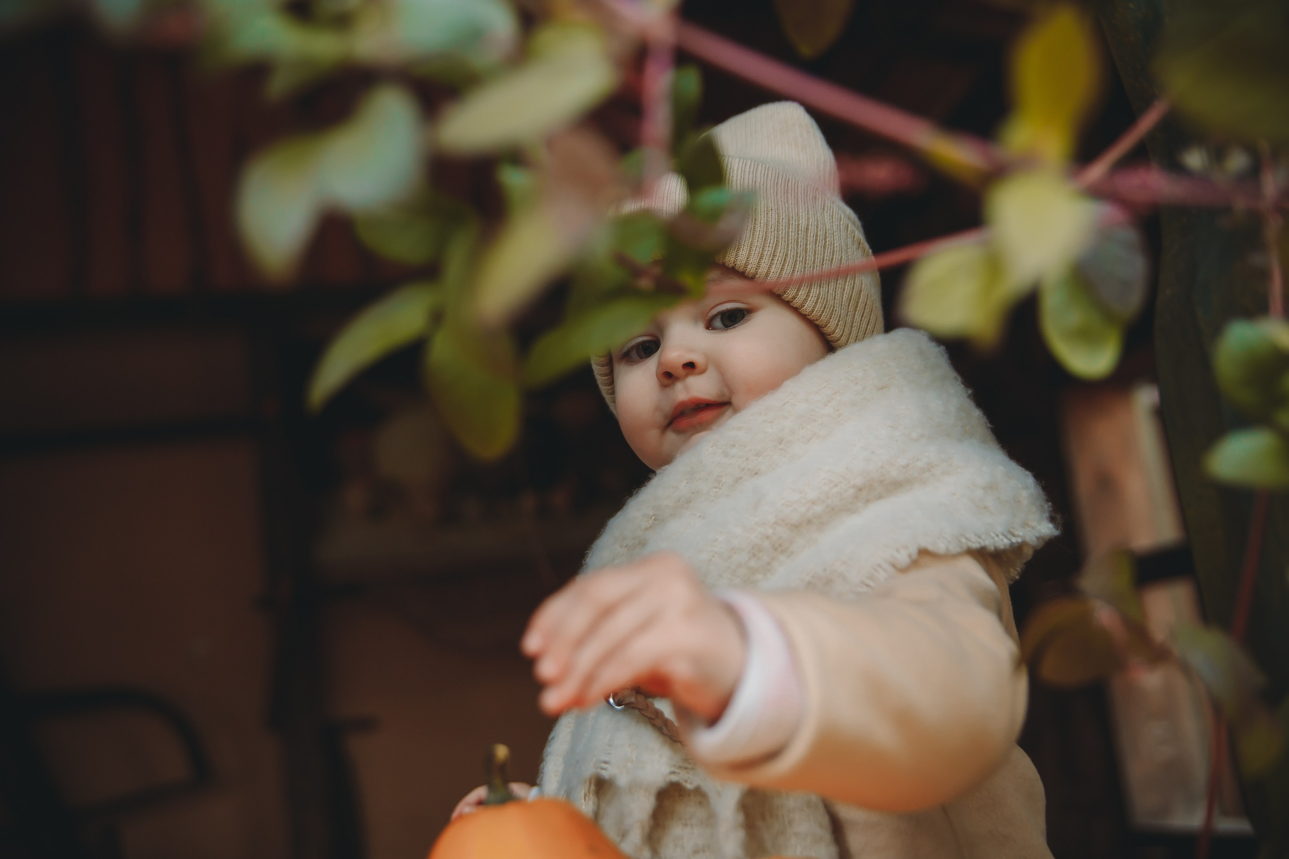 Волшебная осень. Фотограф в Абакане Николай Окунев