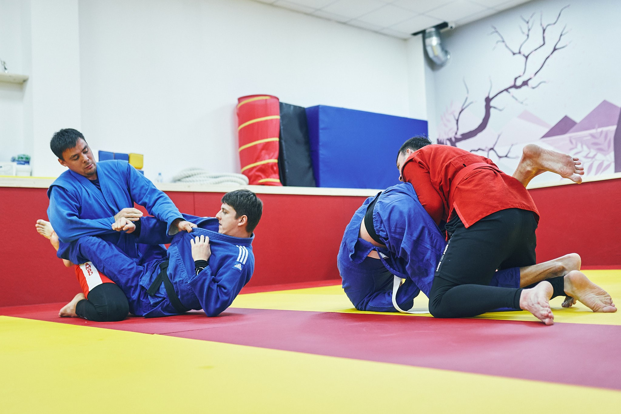 Дзюдо (взрослые). Фотограф в Сочи Катя Гончарова