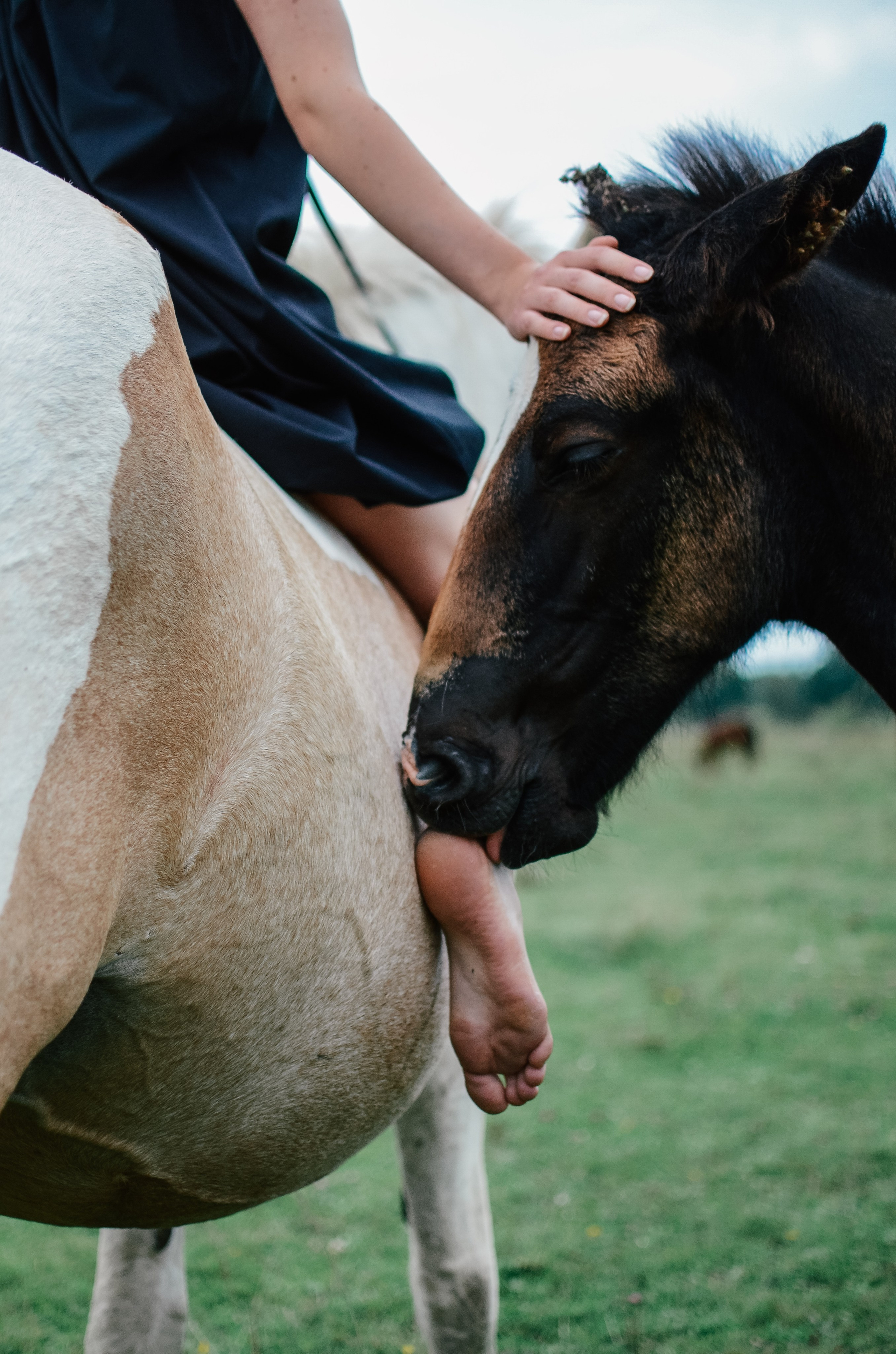 Наедине с природой. Семейный фотограф г. Москва