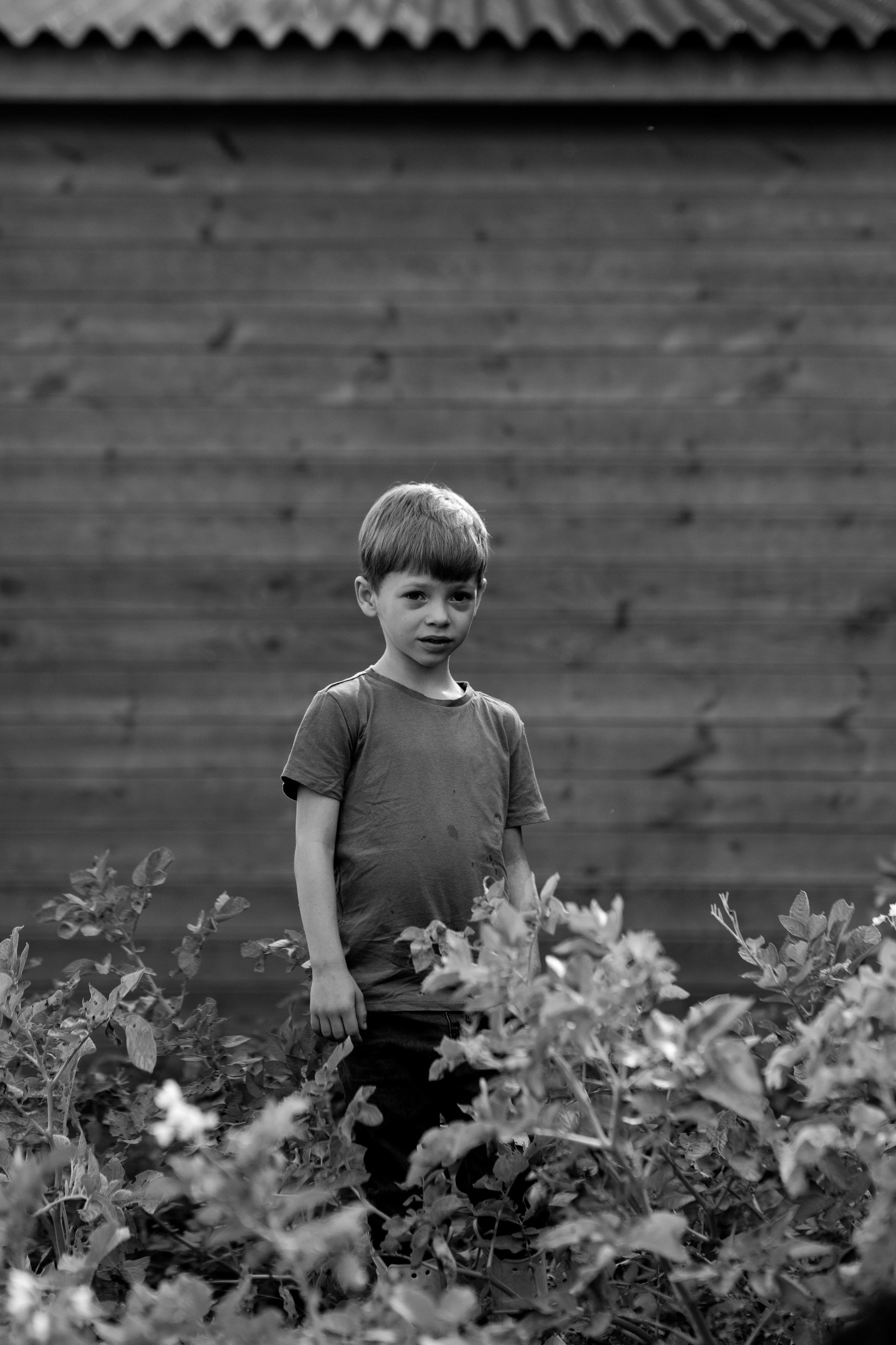 Семейная, дачная 07,22