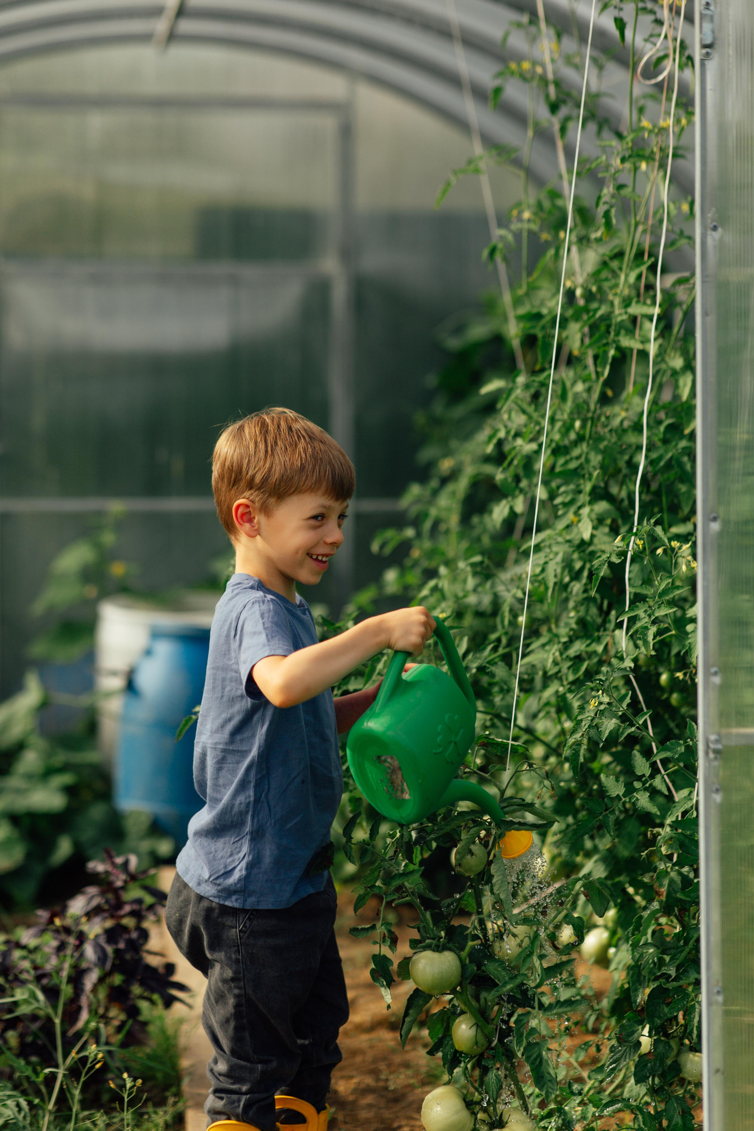 Семейная, дачная 07,22