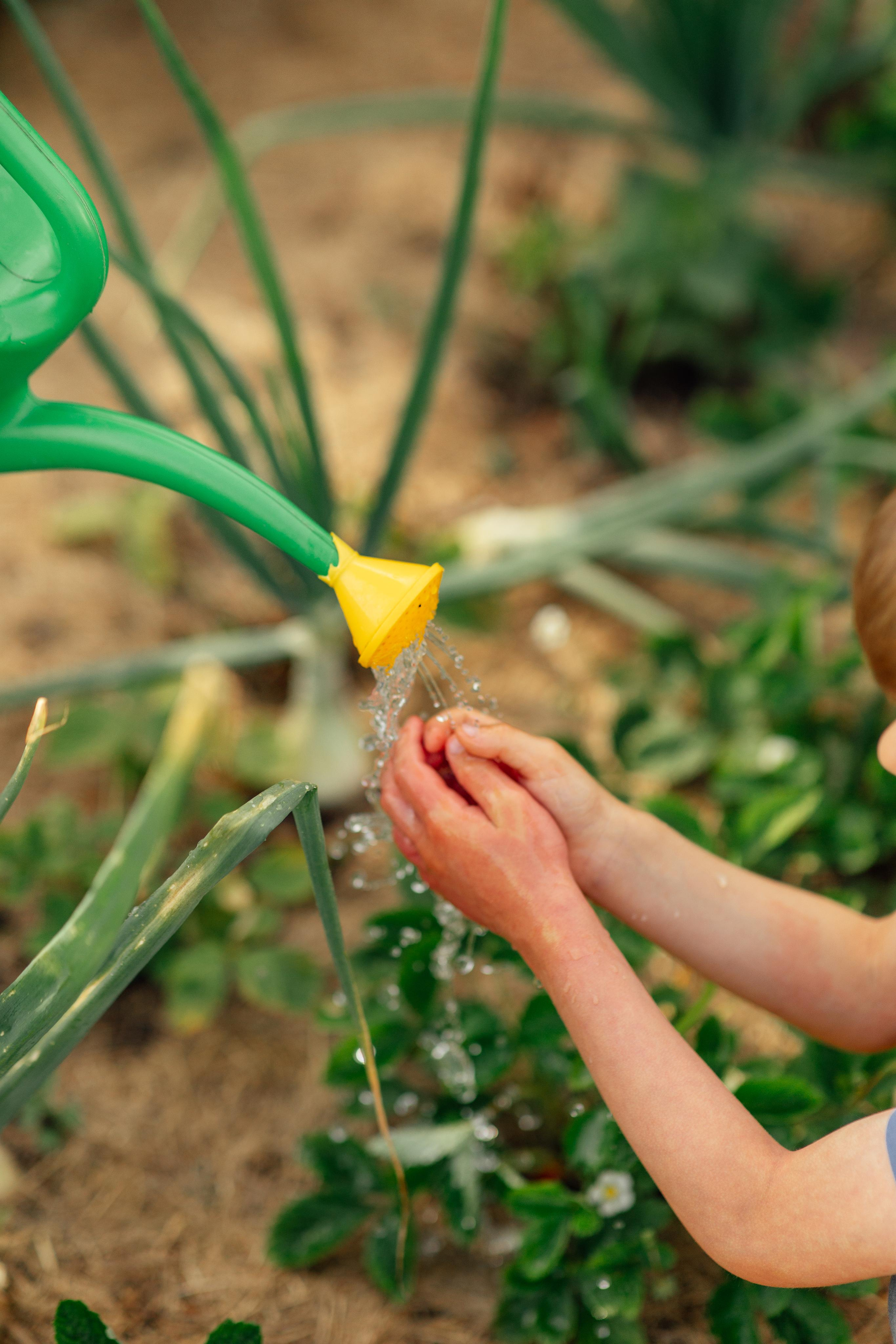 Семейная, дачная 07,22