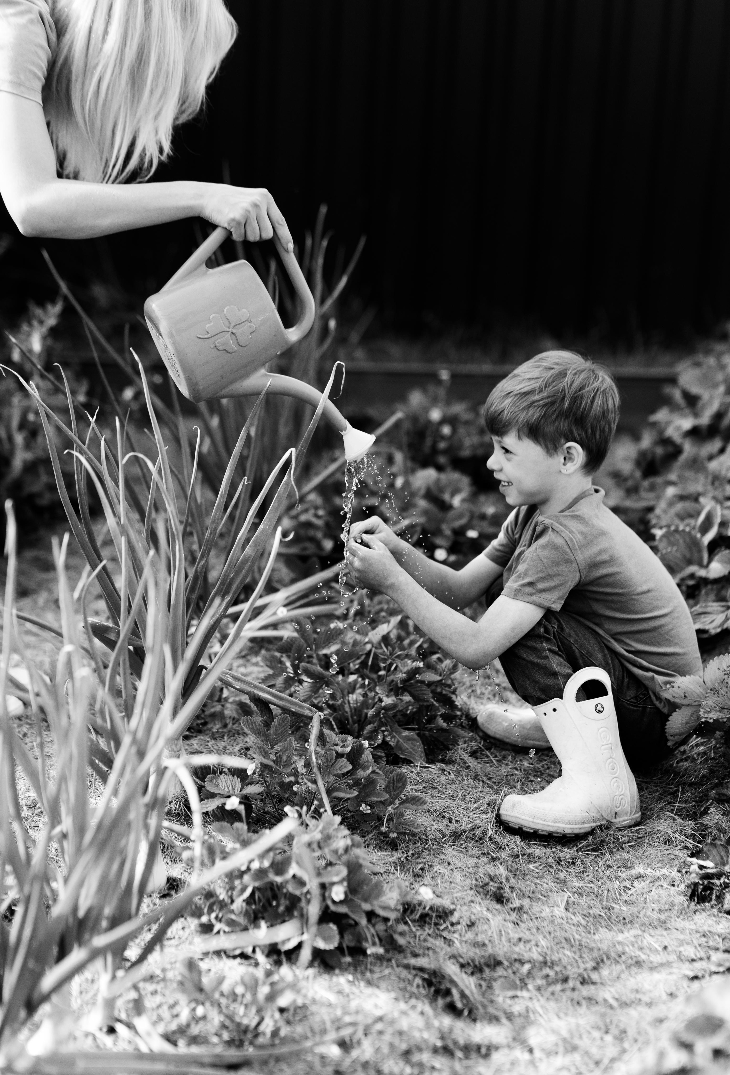 Семейная, дачная 07,22