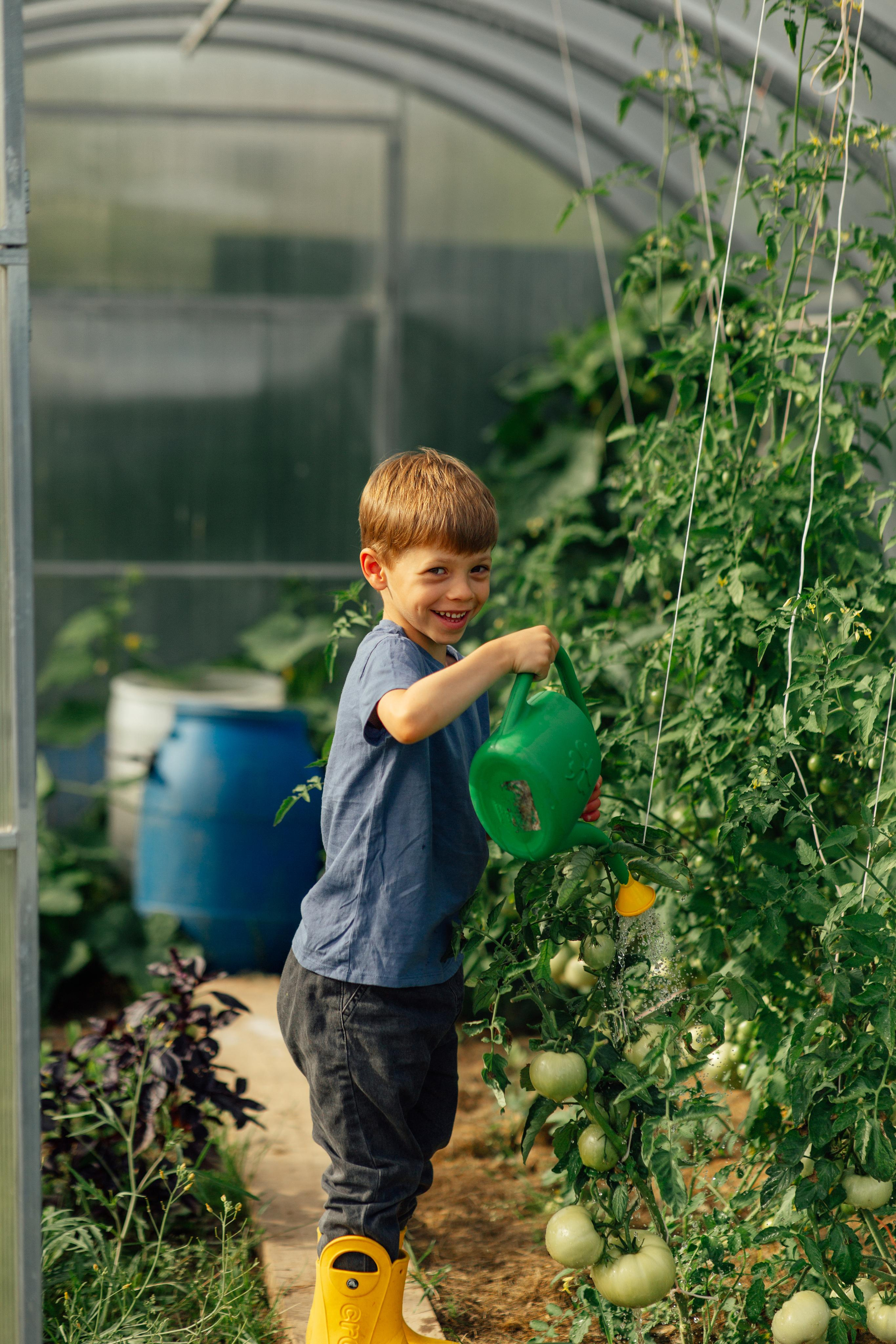 Семейная, дачная 07,22