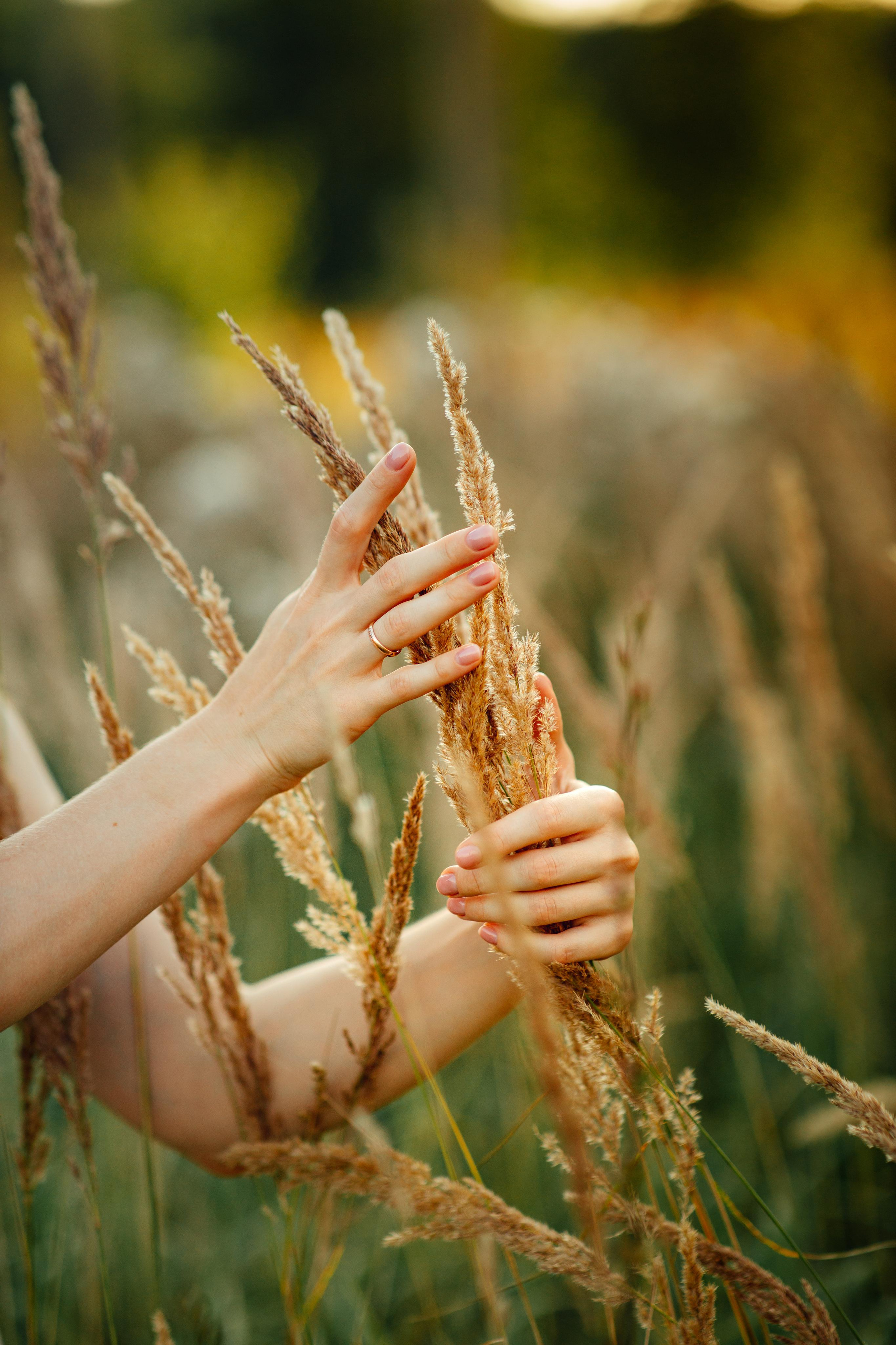 Прилуки, август 22