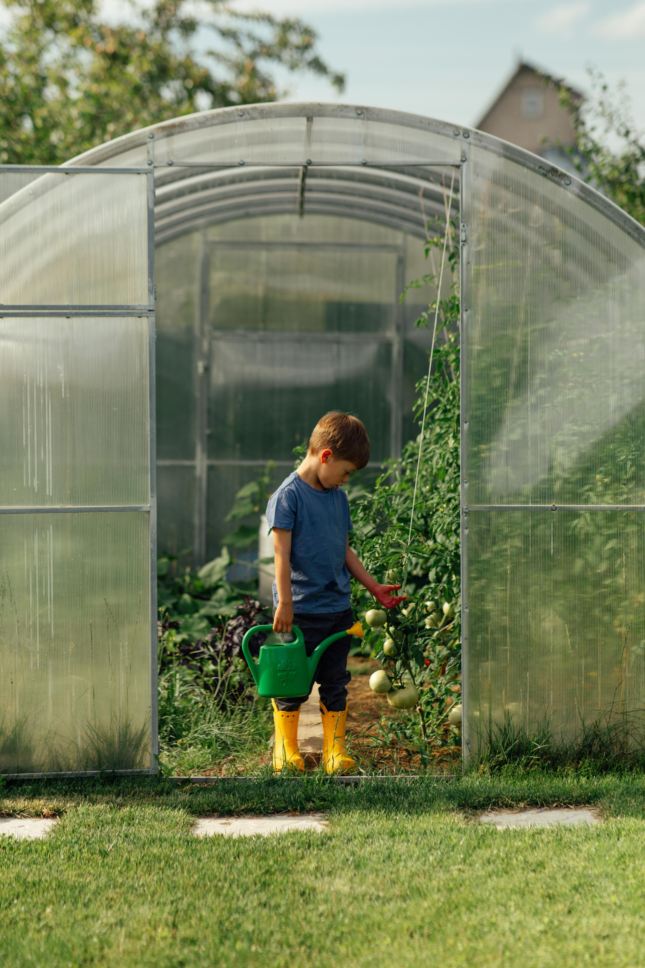 Семейная, дачная 07,22