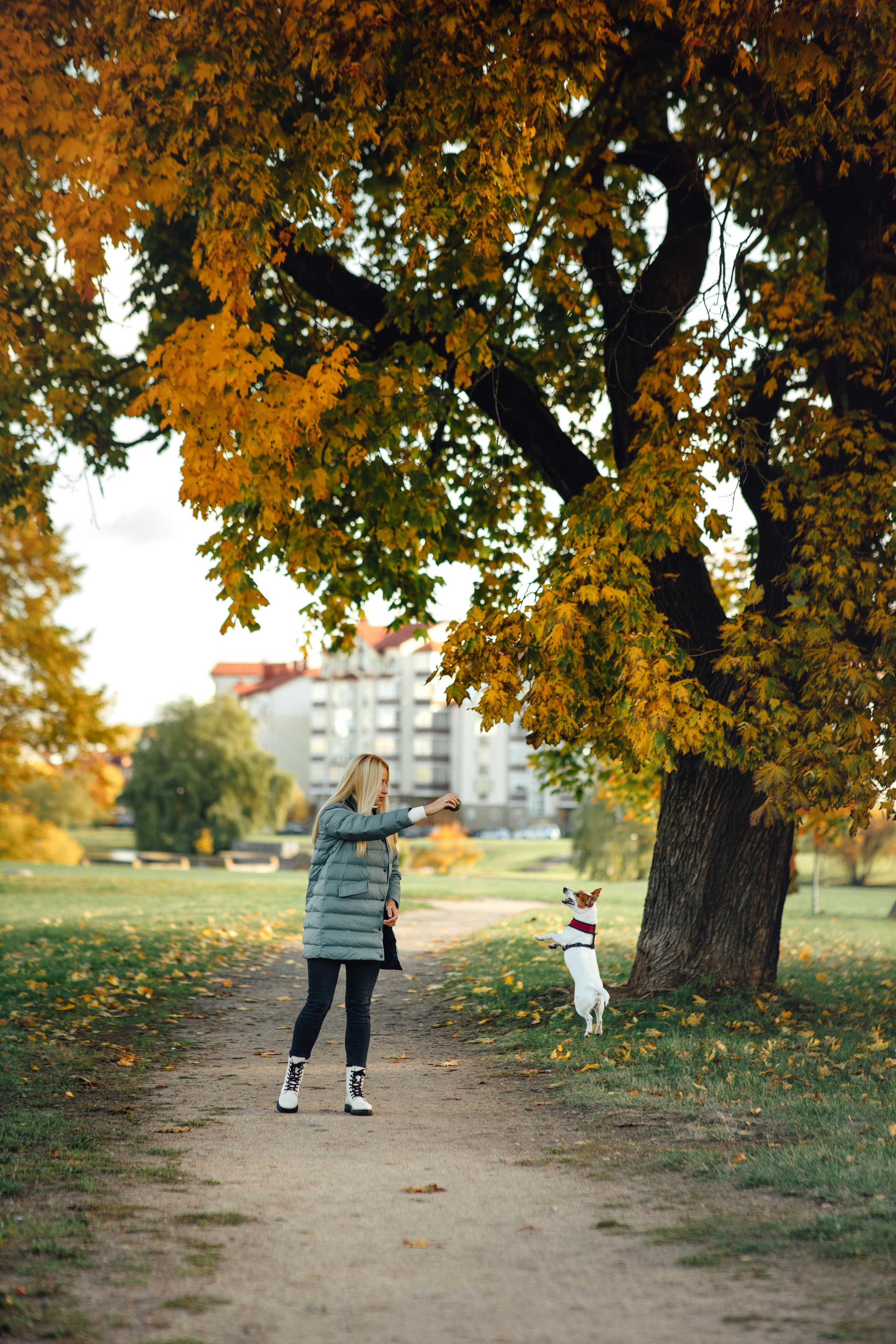 С любимой собакой, для себя