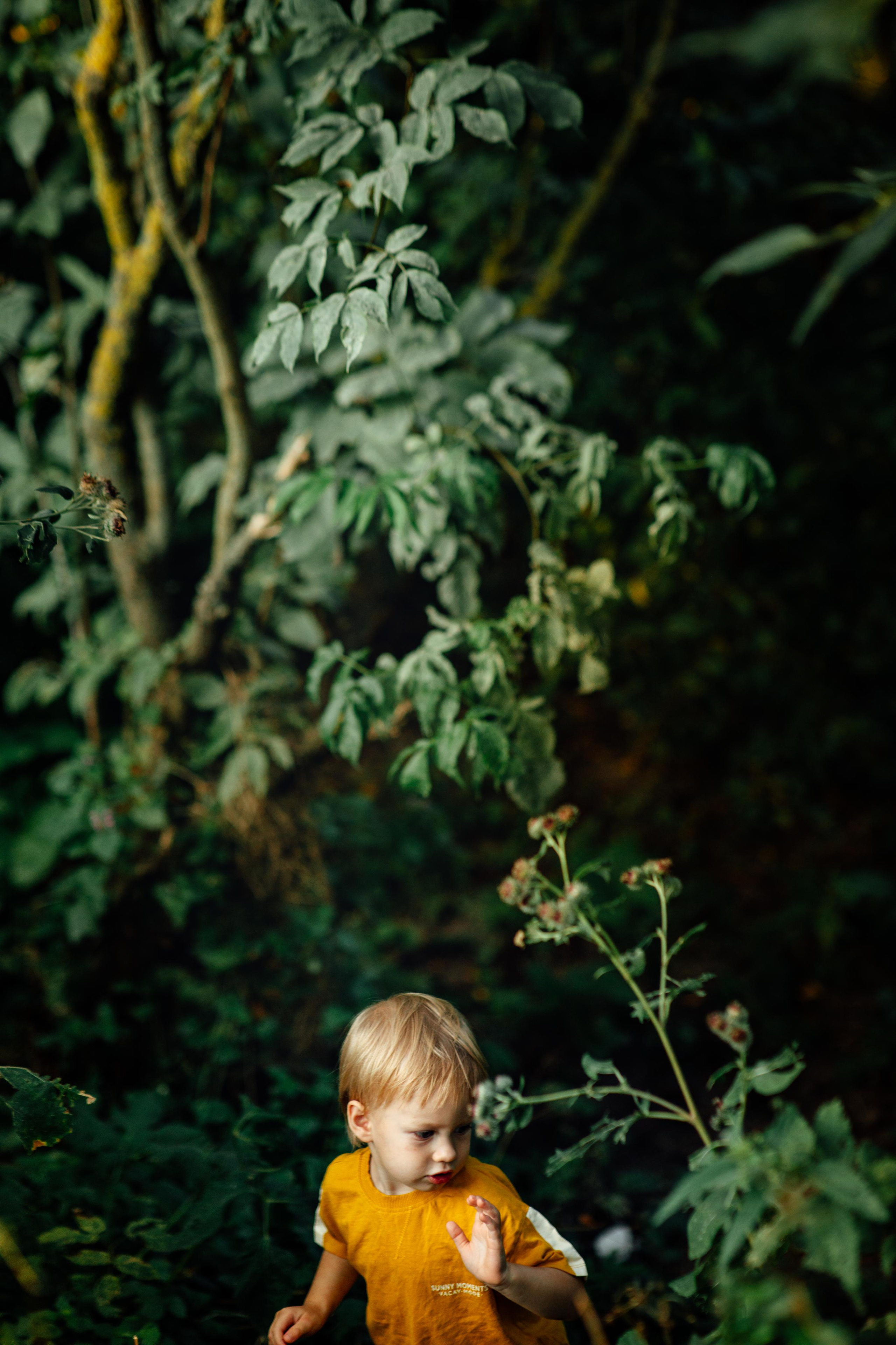 Прилуки, август 22