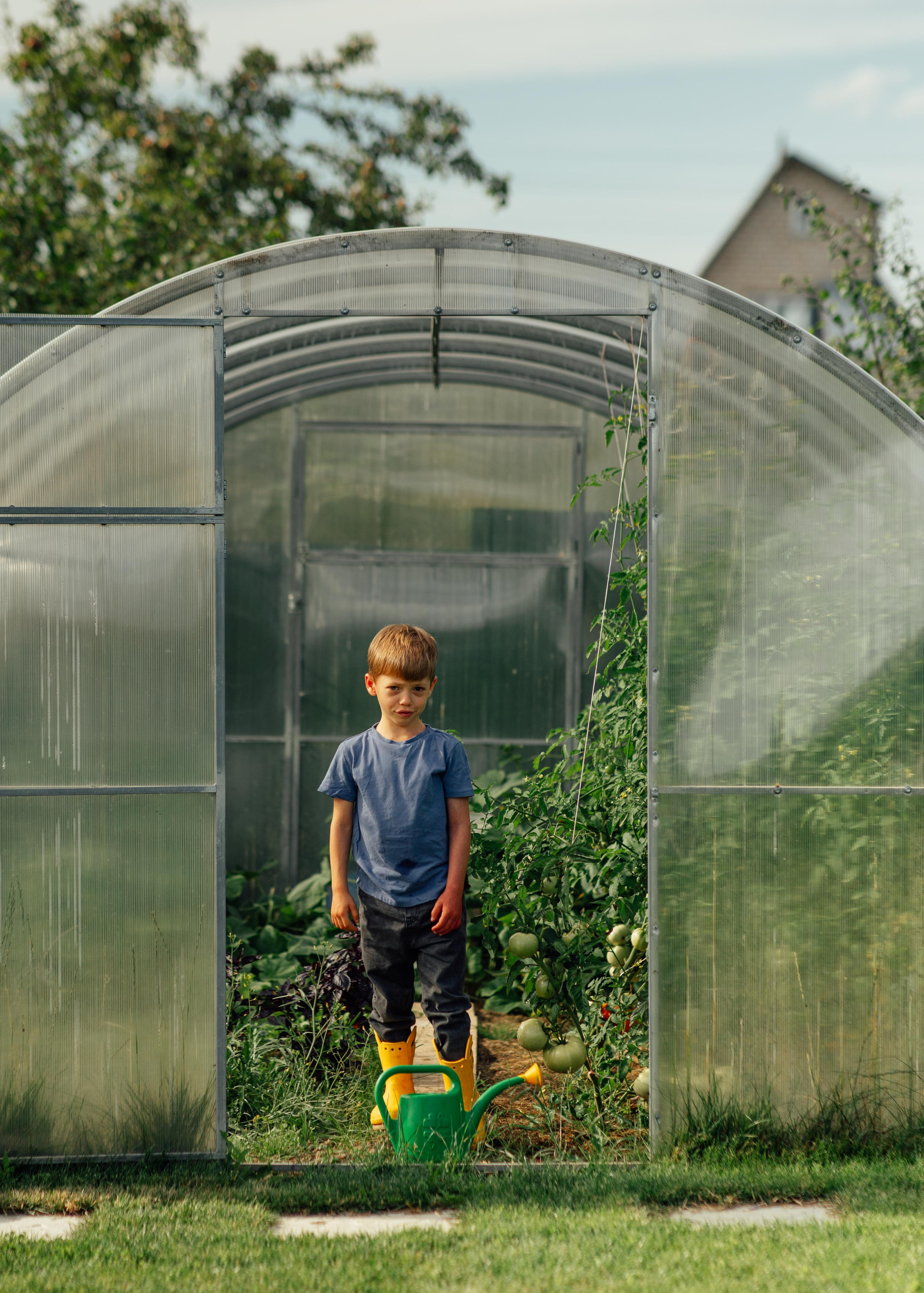 Семейная, дачная 07,22