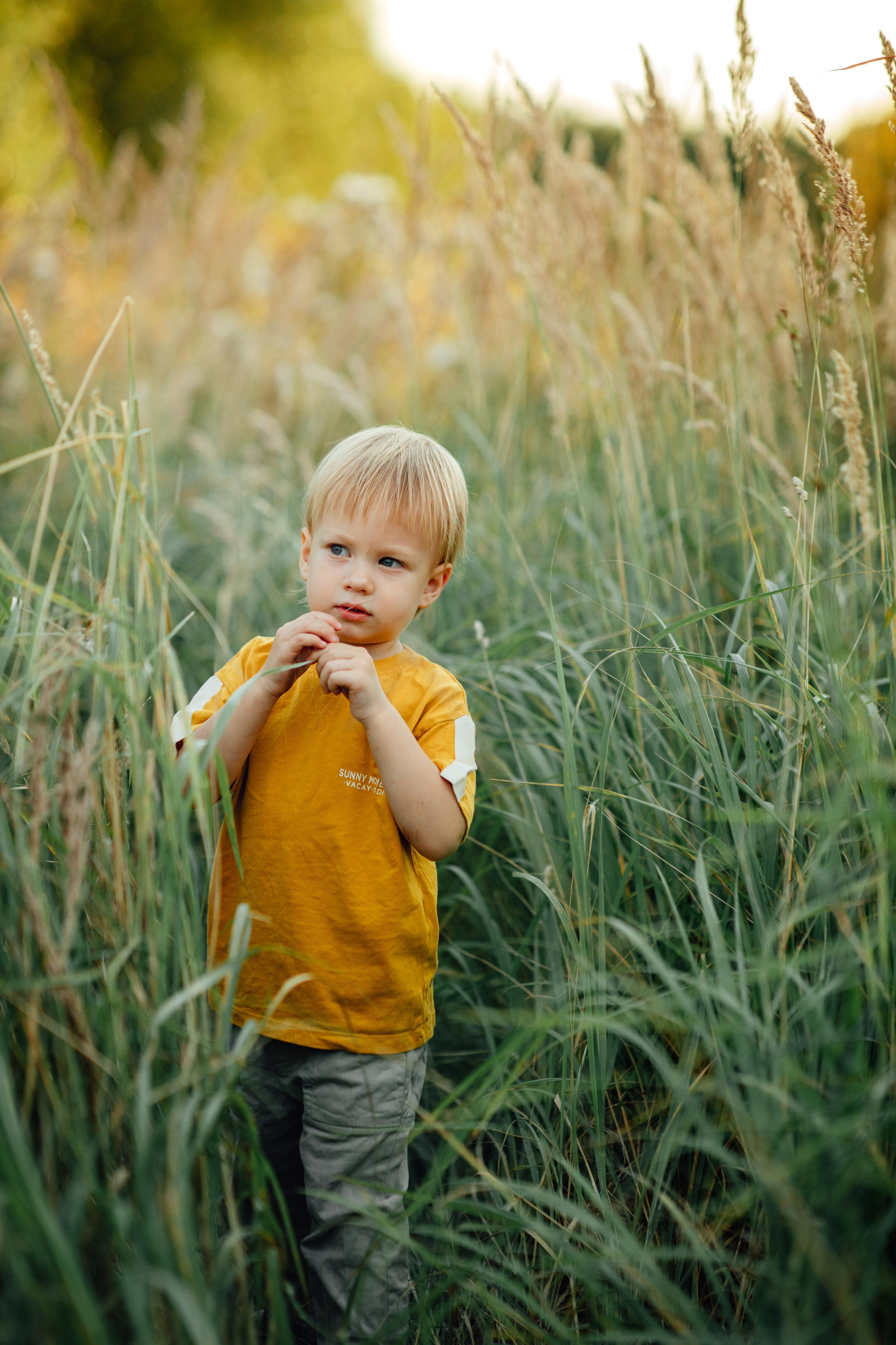 Прилуки, август 22