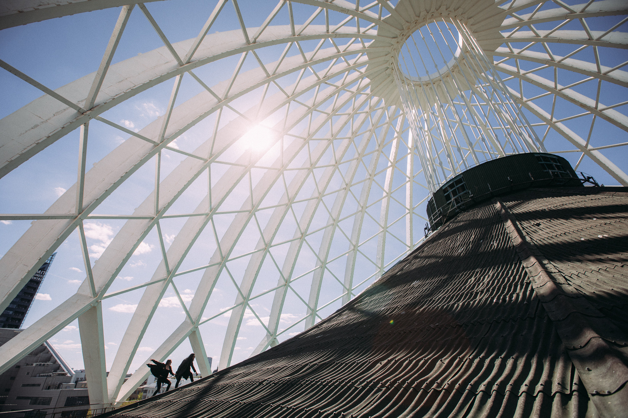 Цирк. Свадебный и семейный фотограф в Екатеринбурге Илья Рихтер