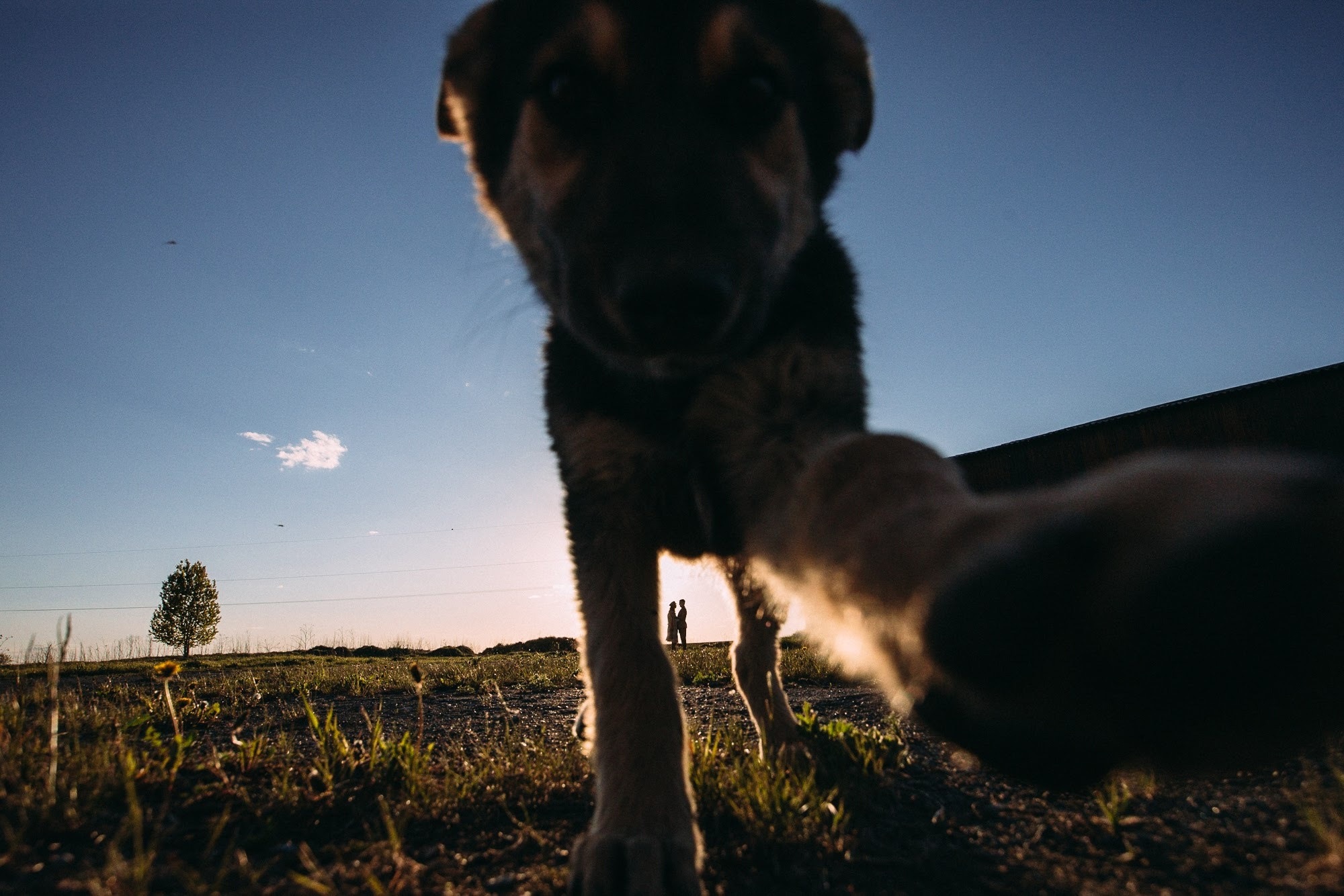 Снова вместе. Свадебный и семейный фотограф в Екатеринбурге Илья Рихтер