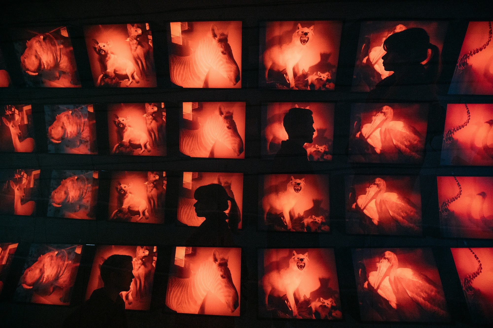 Свобода не делать. Свадебный и семейный фотограф в Екатеринбурге Илья Рихтер