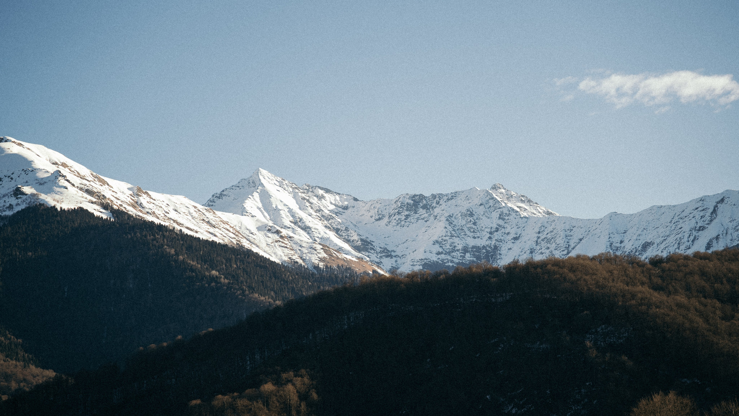 Роза Хутор. Свадебный фотограф в Краснодаре и Сочи Винидиктова Екатерина