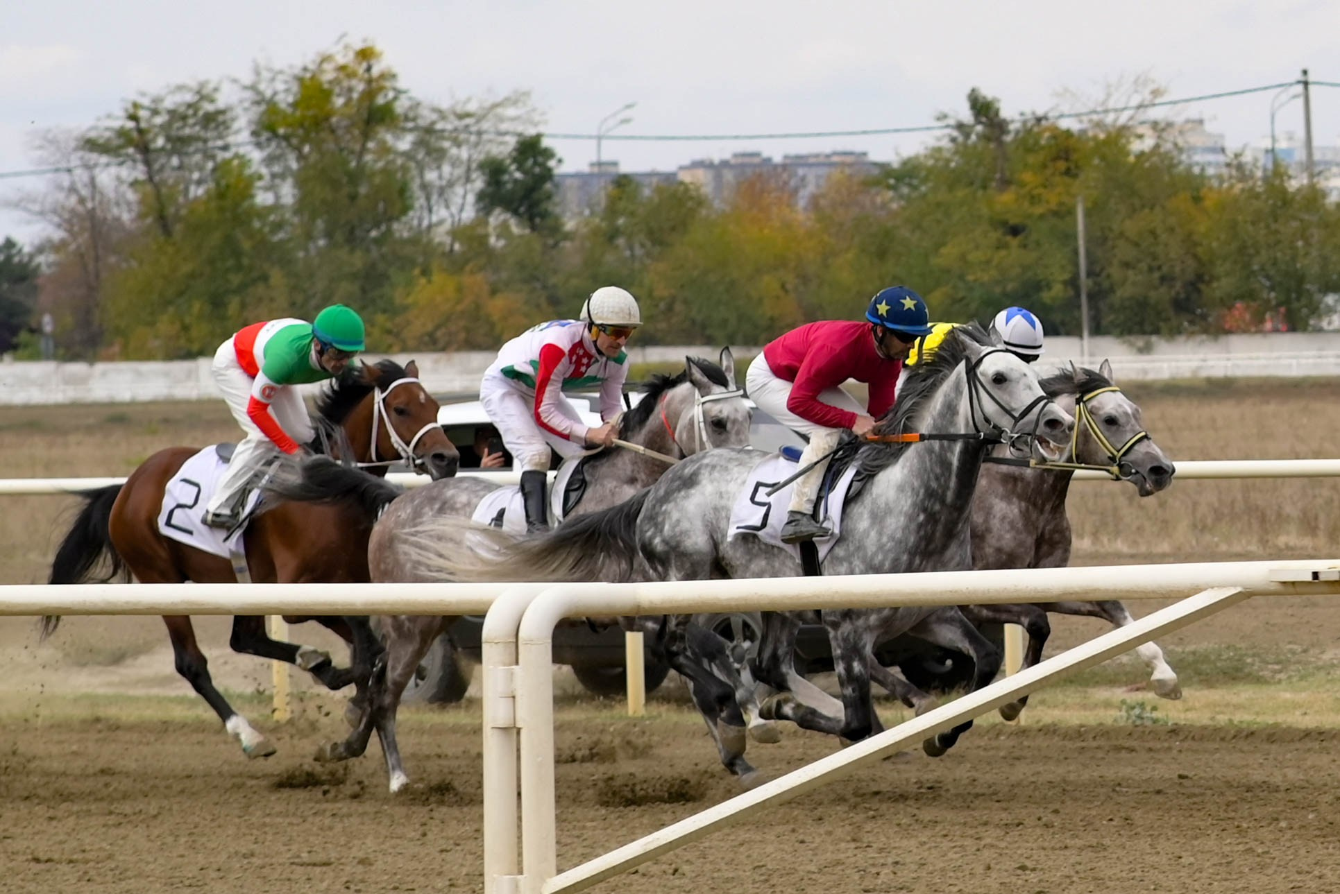Закрытие скакового сезона 2024 г. Краснодар. Фотограф Краснодар Наталья Сувит